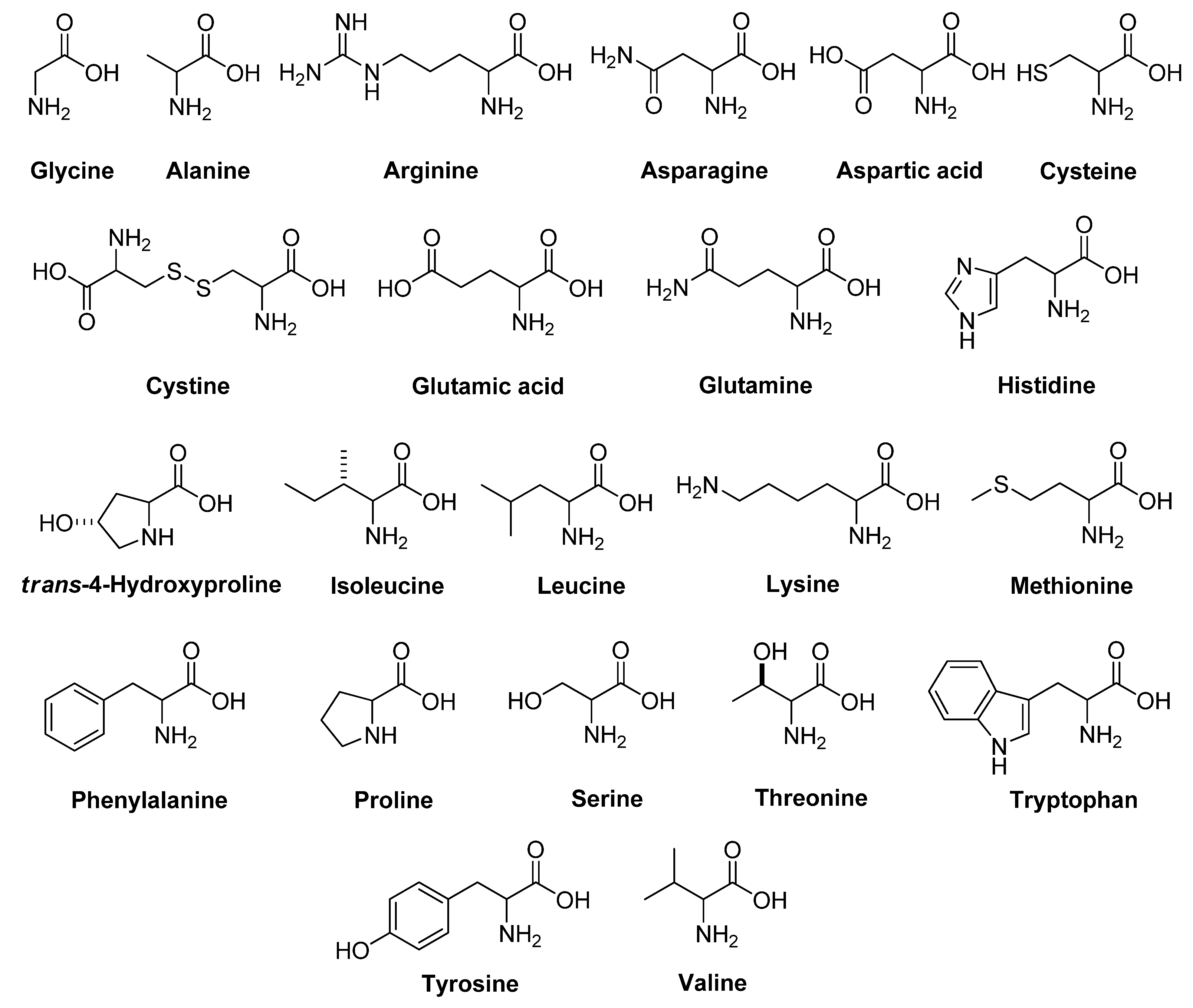 Molecules 26 02071 g001