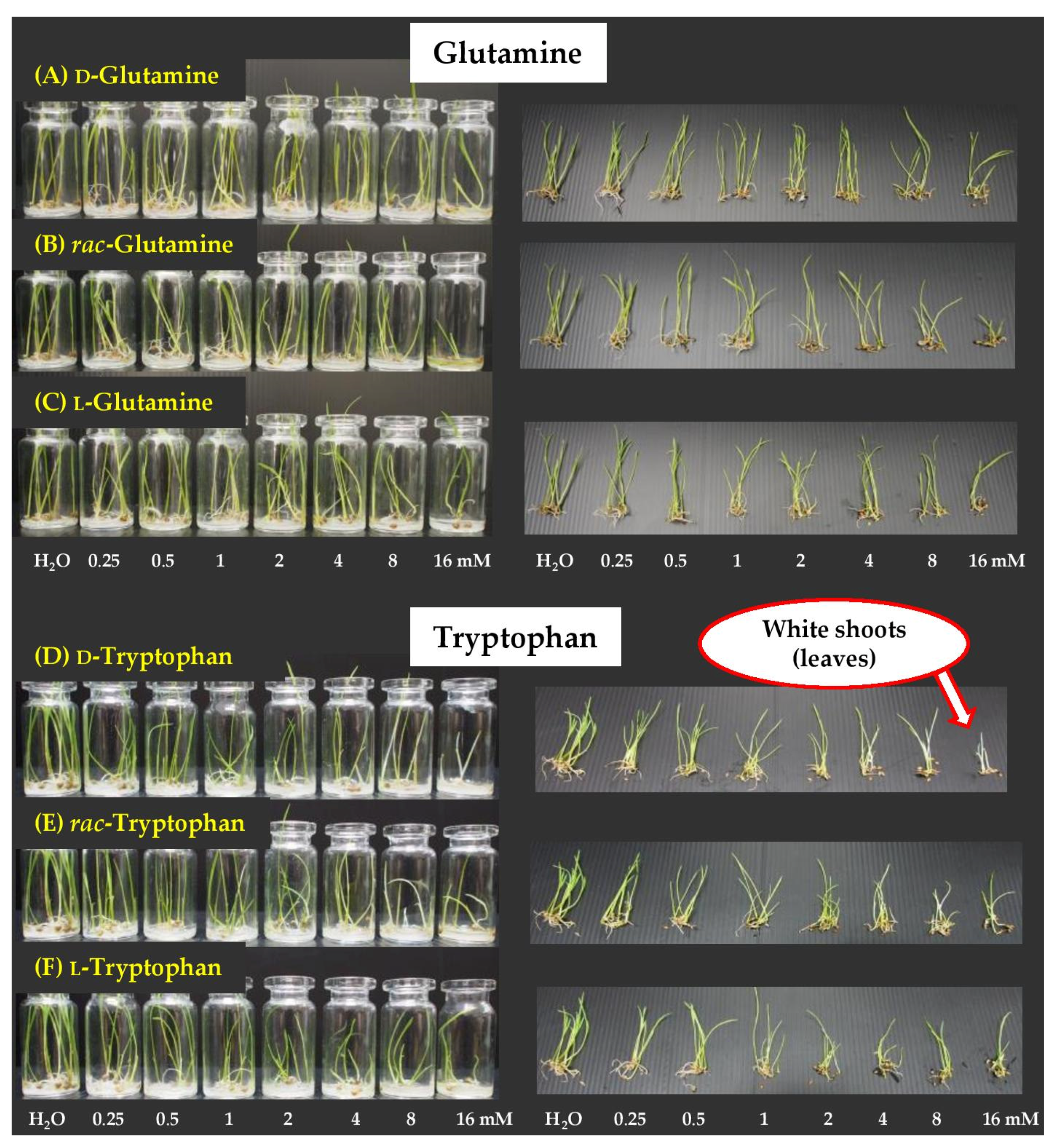Molecules 26 02071 g008