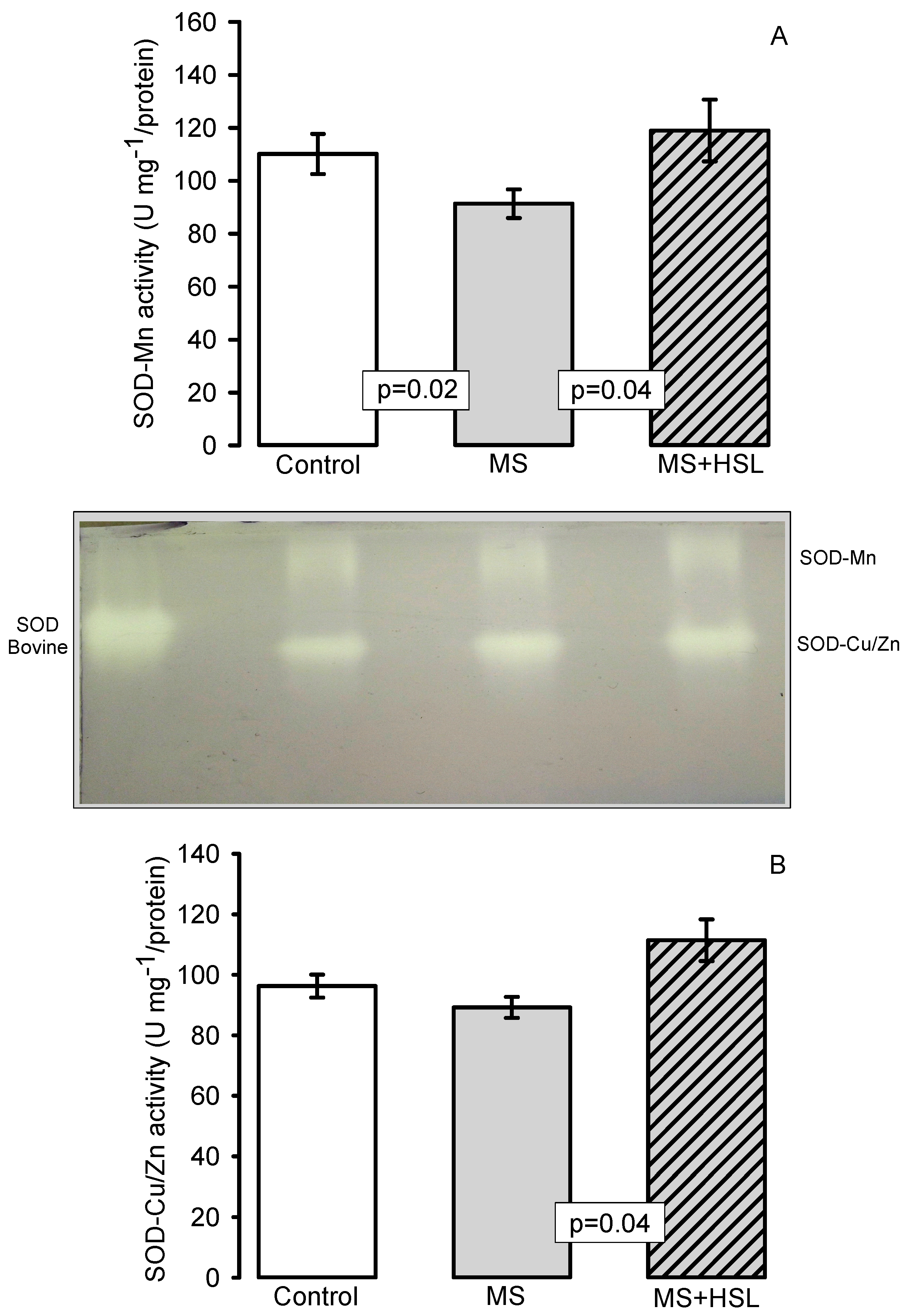 Molecules 26 02074 g003