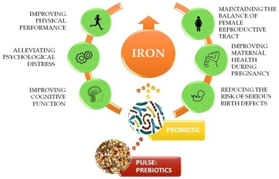 Molecules | Free Full-Text | Pulse Probiotic Superfood as Iron Status  Improvement Agent in Active Women—A Review | HTML
