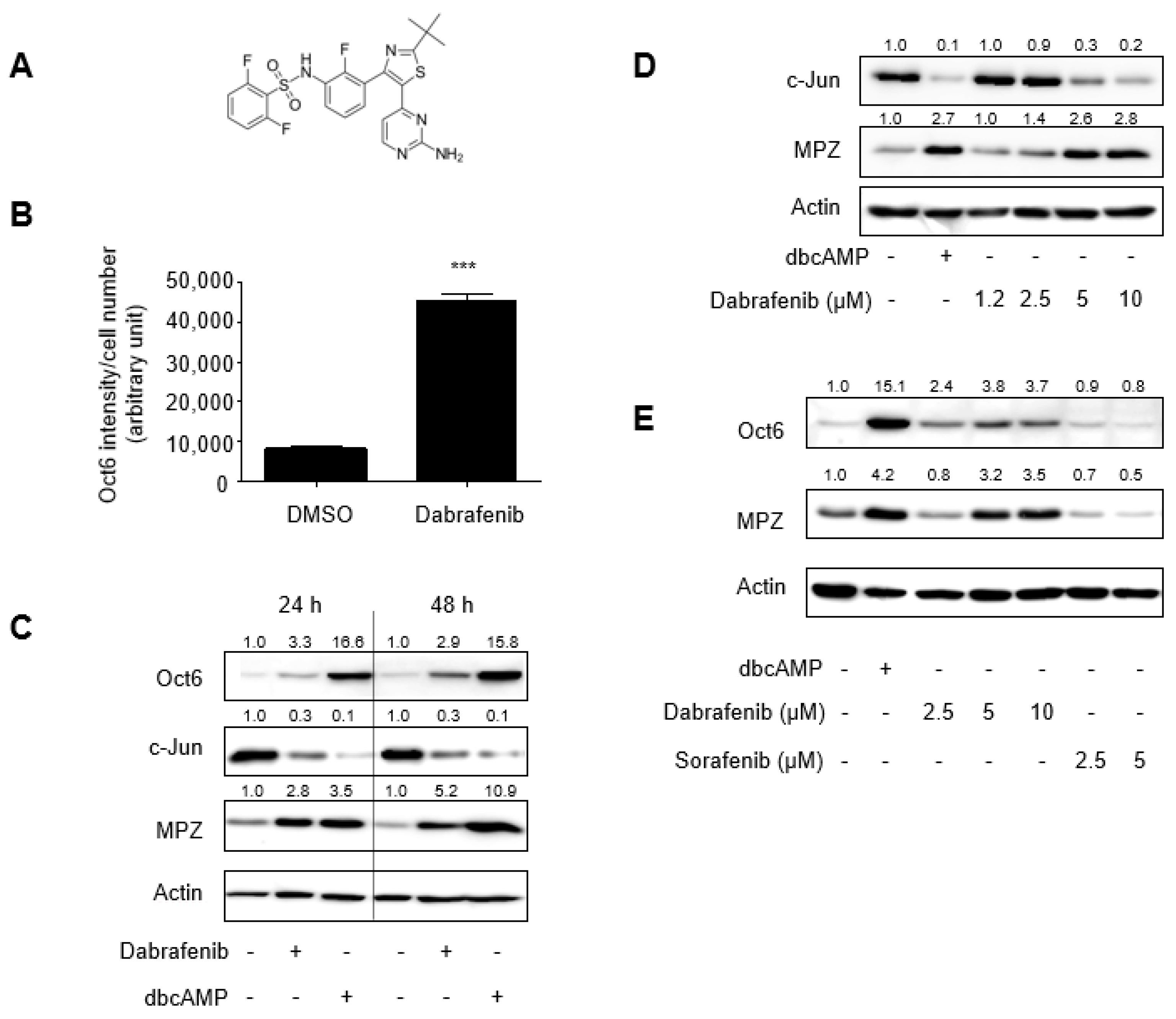 Molecules 26 02141 g001 Molecules 26 02141 g001