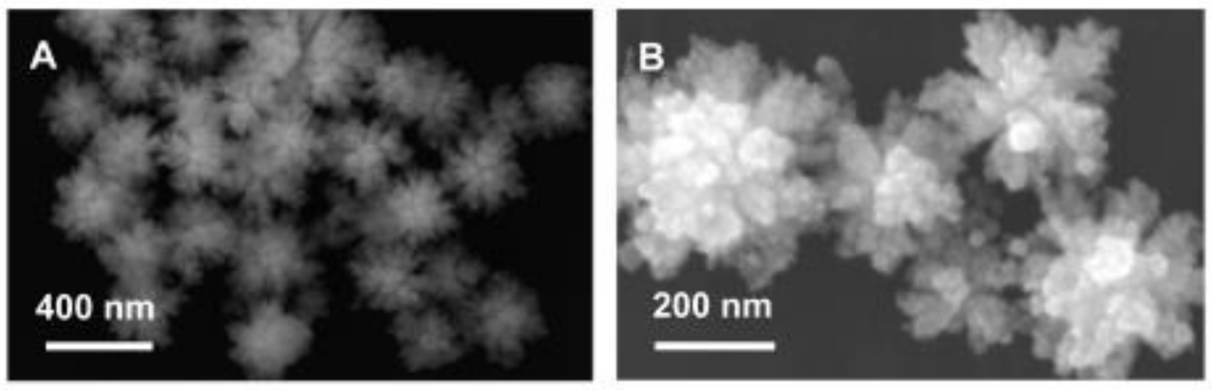 Molecules 26 02144 g007 Molecules 26 02144 g007