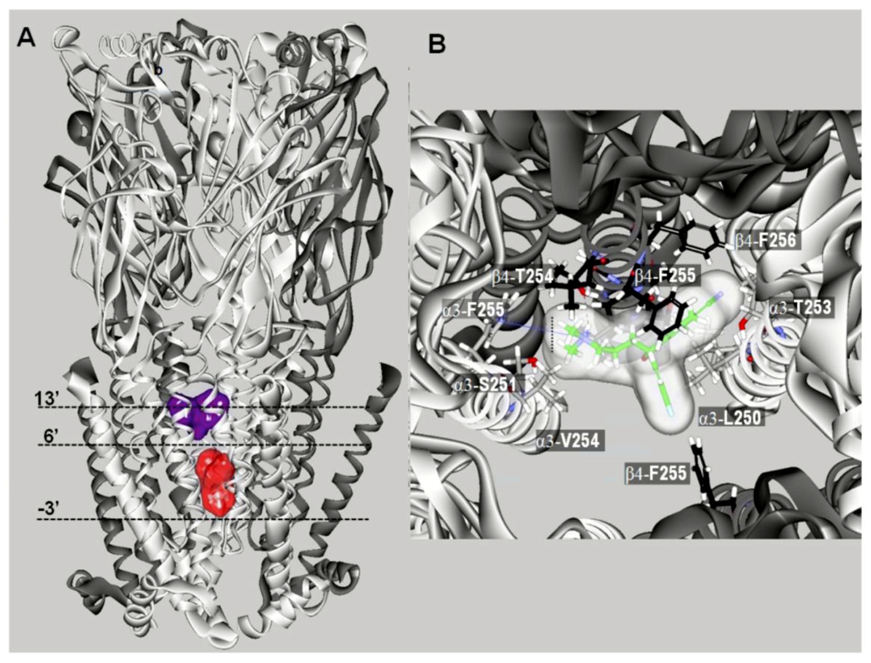 Molecules 26 02149 g004