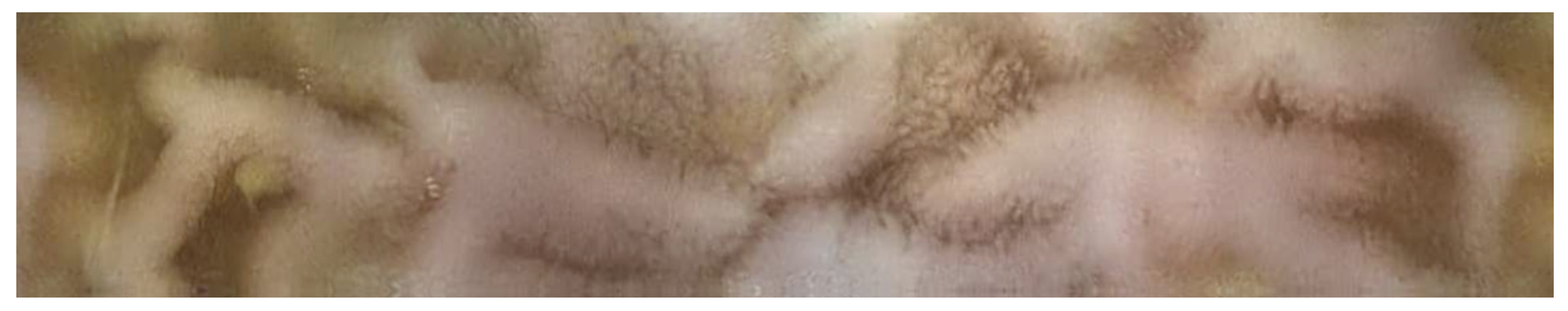 Molecules 26 02160 g004 Molecules 26 02160 g004