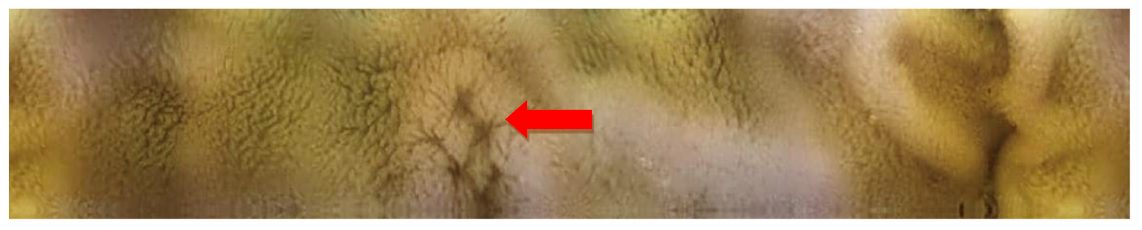 Molecules 26 02160 g005 Molecules 26 02160 g005