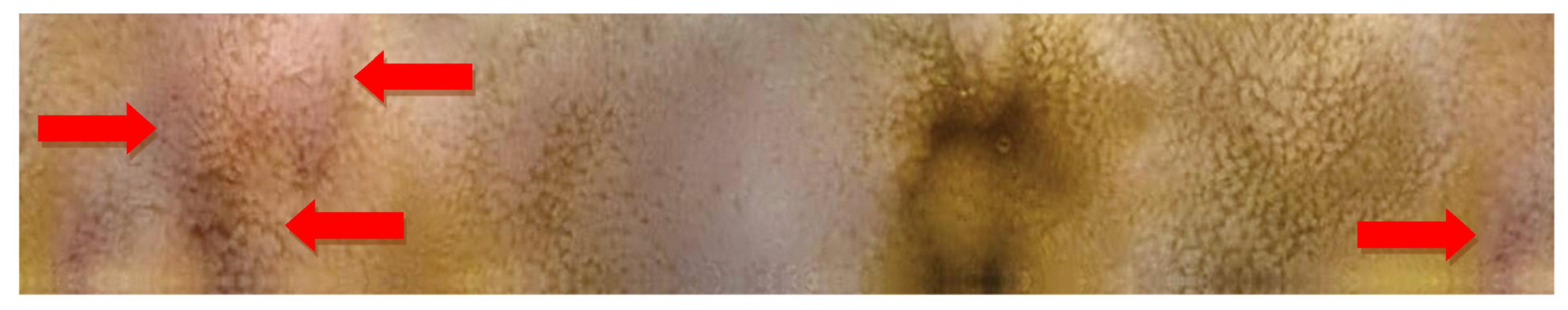 Molecules 26 02160 g006 Molecules 26 02160 g006