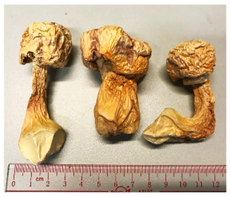 Molecules 26 02173 i001 Molecules 26 02173 i001