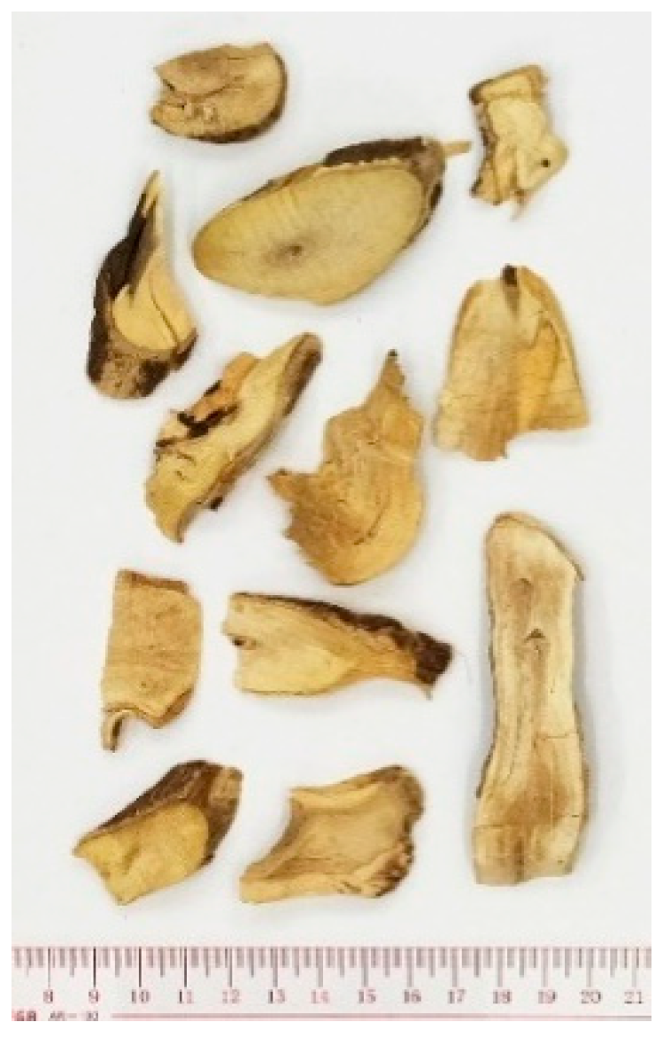 Molecules 26 02173 i005 Molecules 26 02173 i005