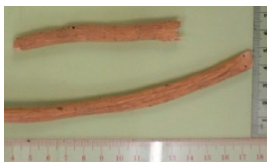 Molecules 26 02173 i006 Molecules 26 02173 i006