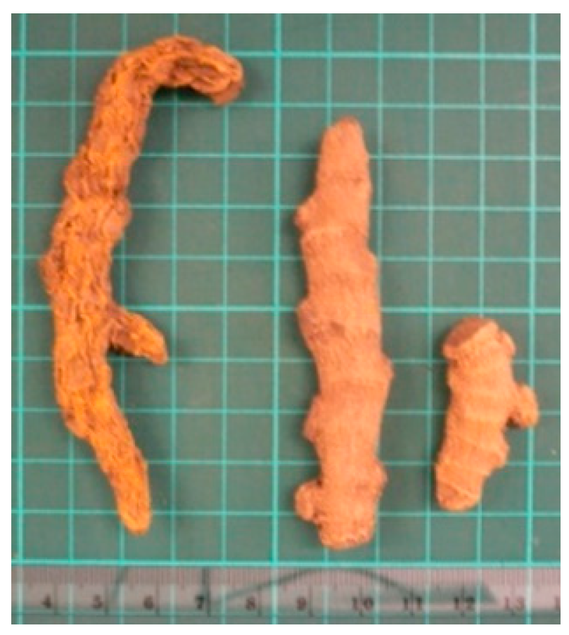 Molecules 26 02173 i007 Molecules 26 02173 i007