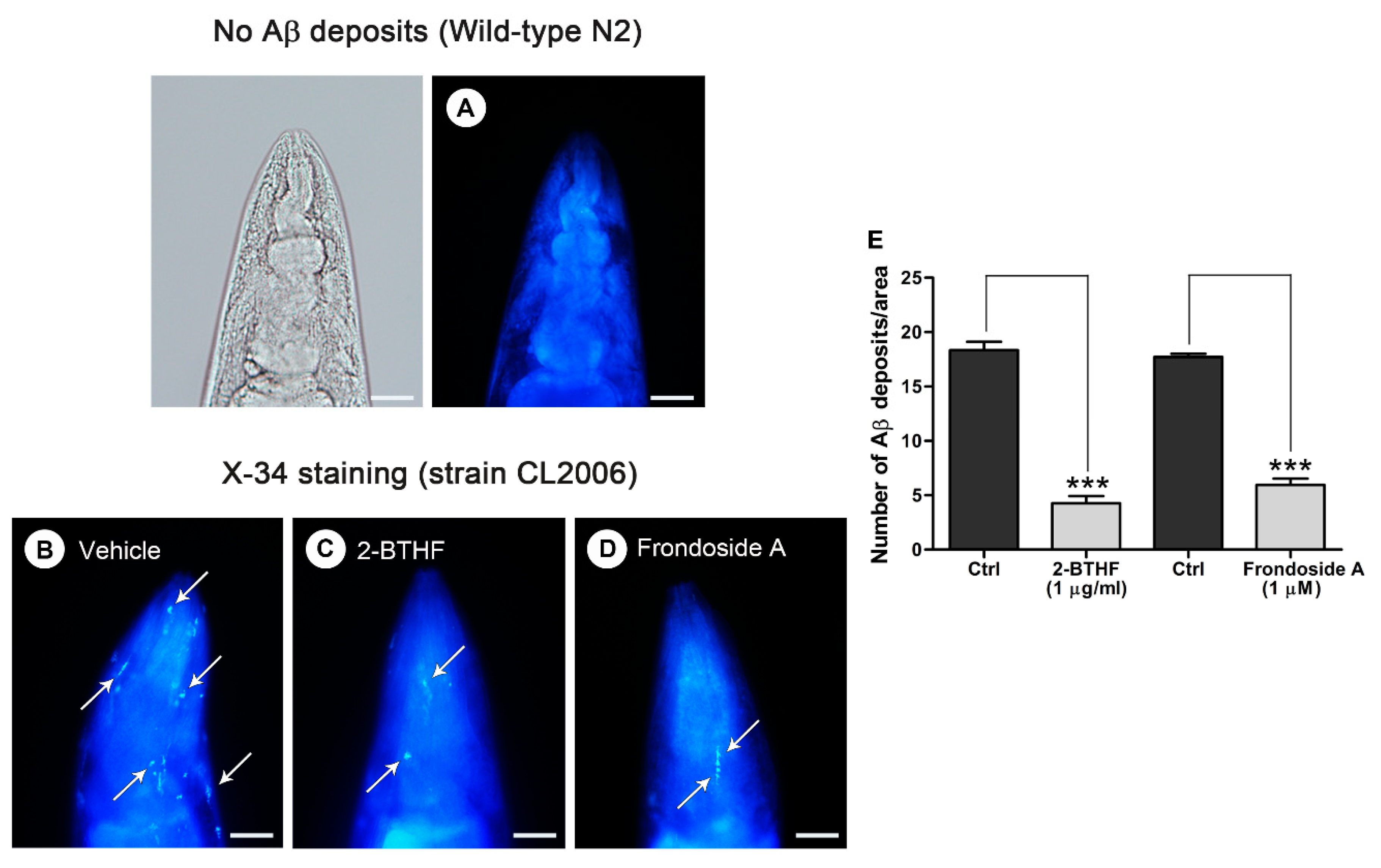 Molecules 26 02195 g004 Molecules 26 02195 g004