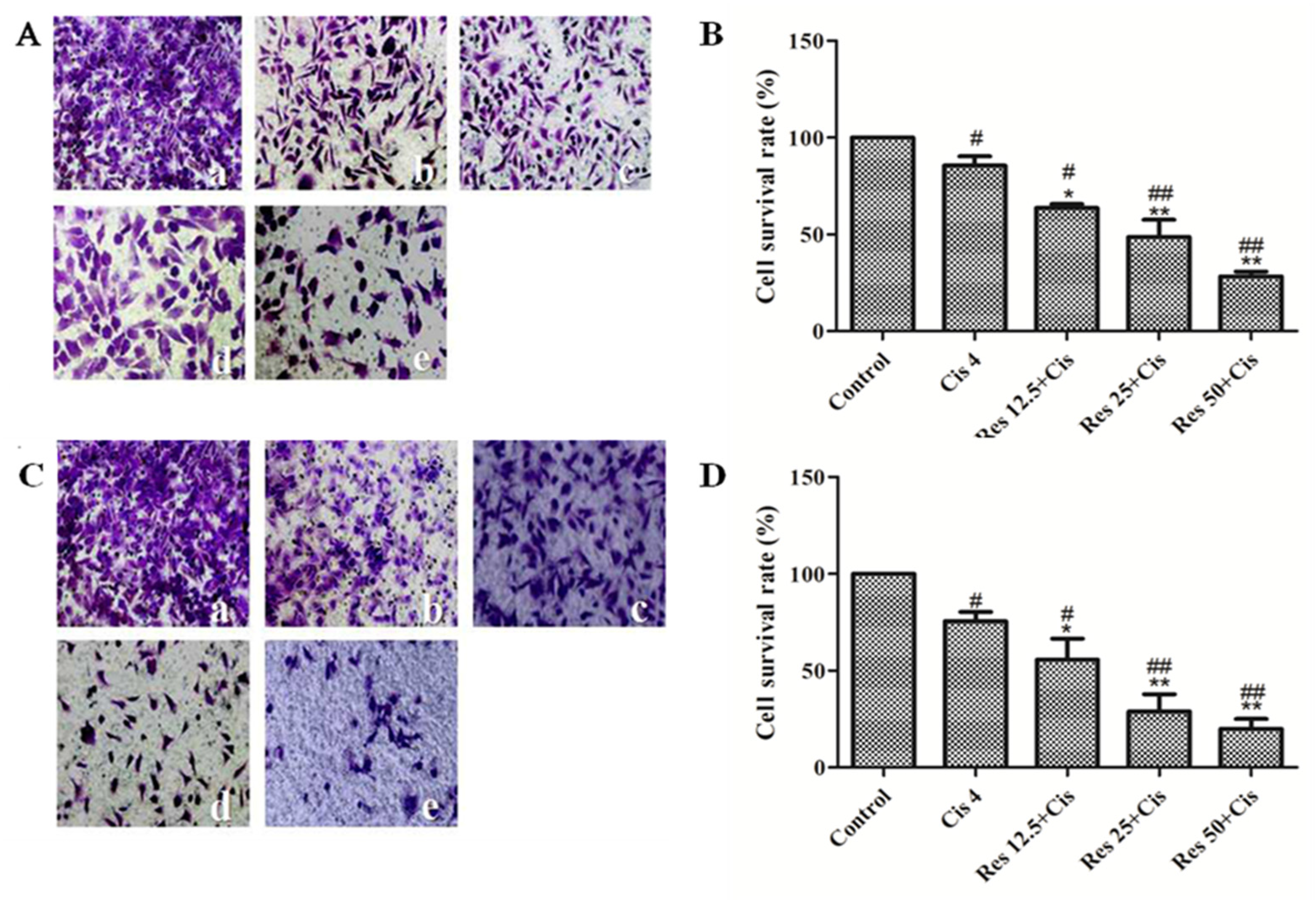 Molecules 26 02204 g002 Molecules 26 02204 g002