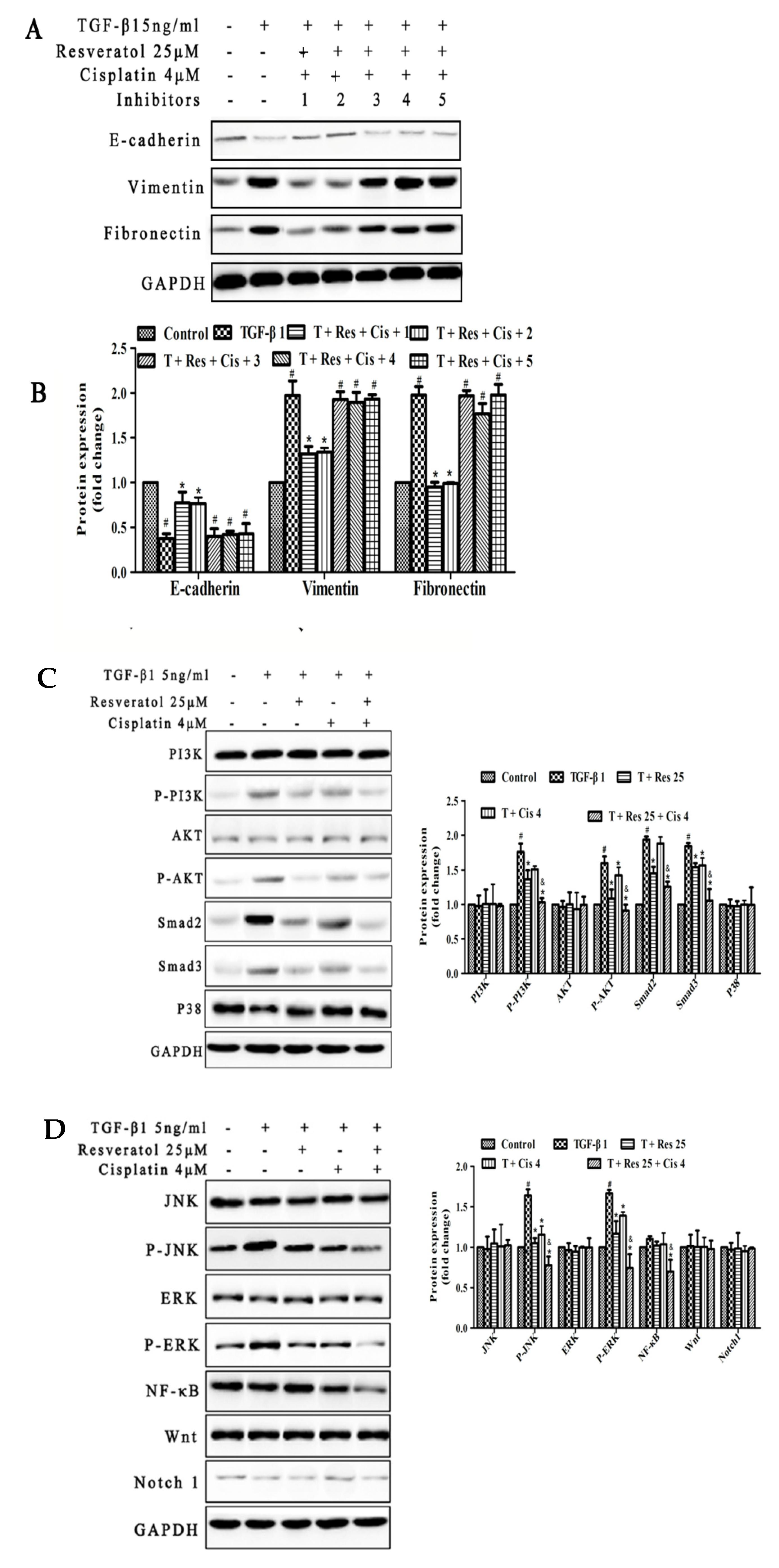 Molecules 26 02204 g004 Molecules 26 02204 g004