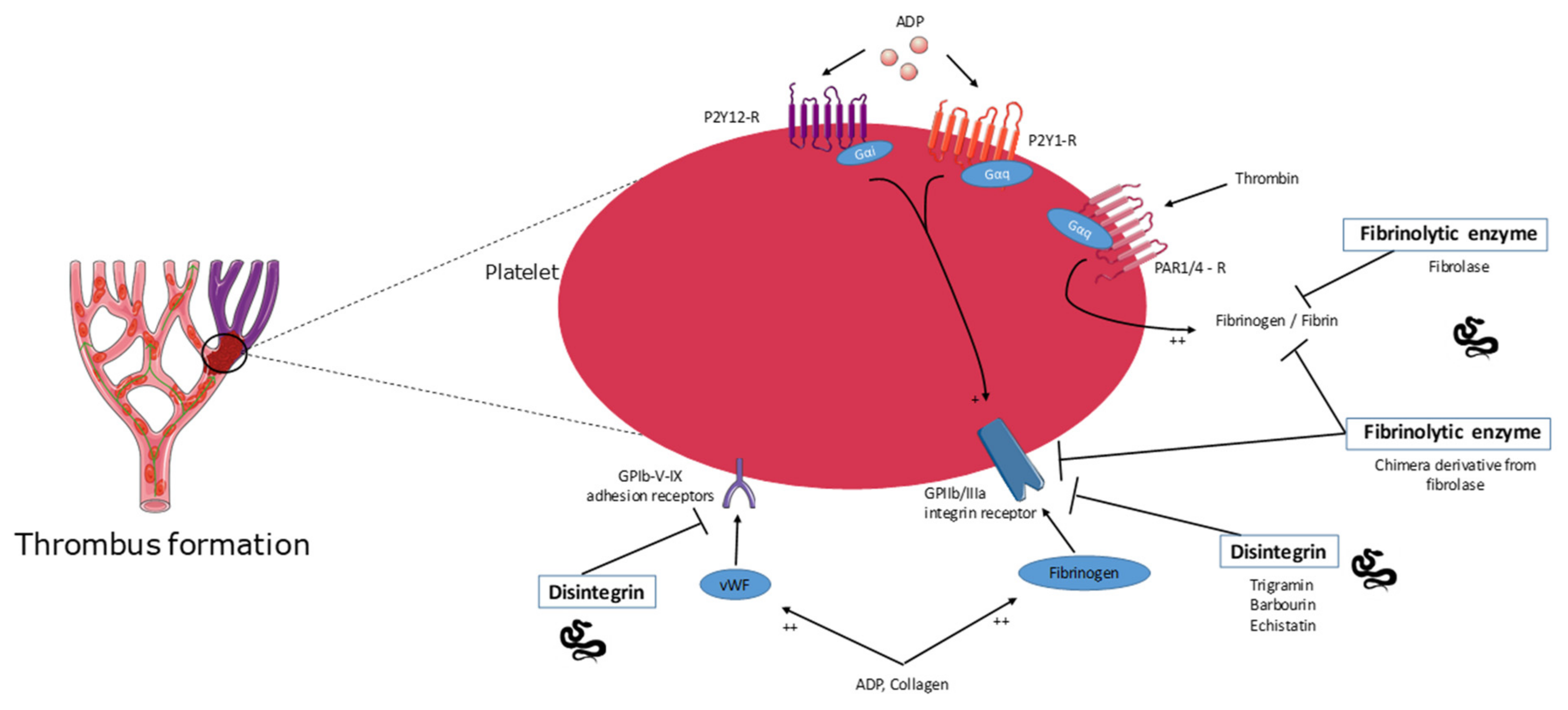 Molecules 26 02223 g002