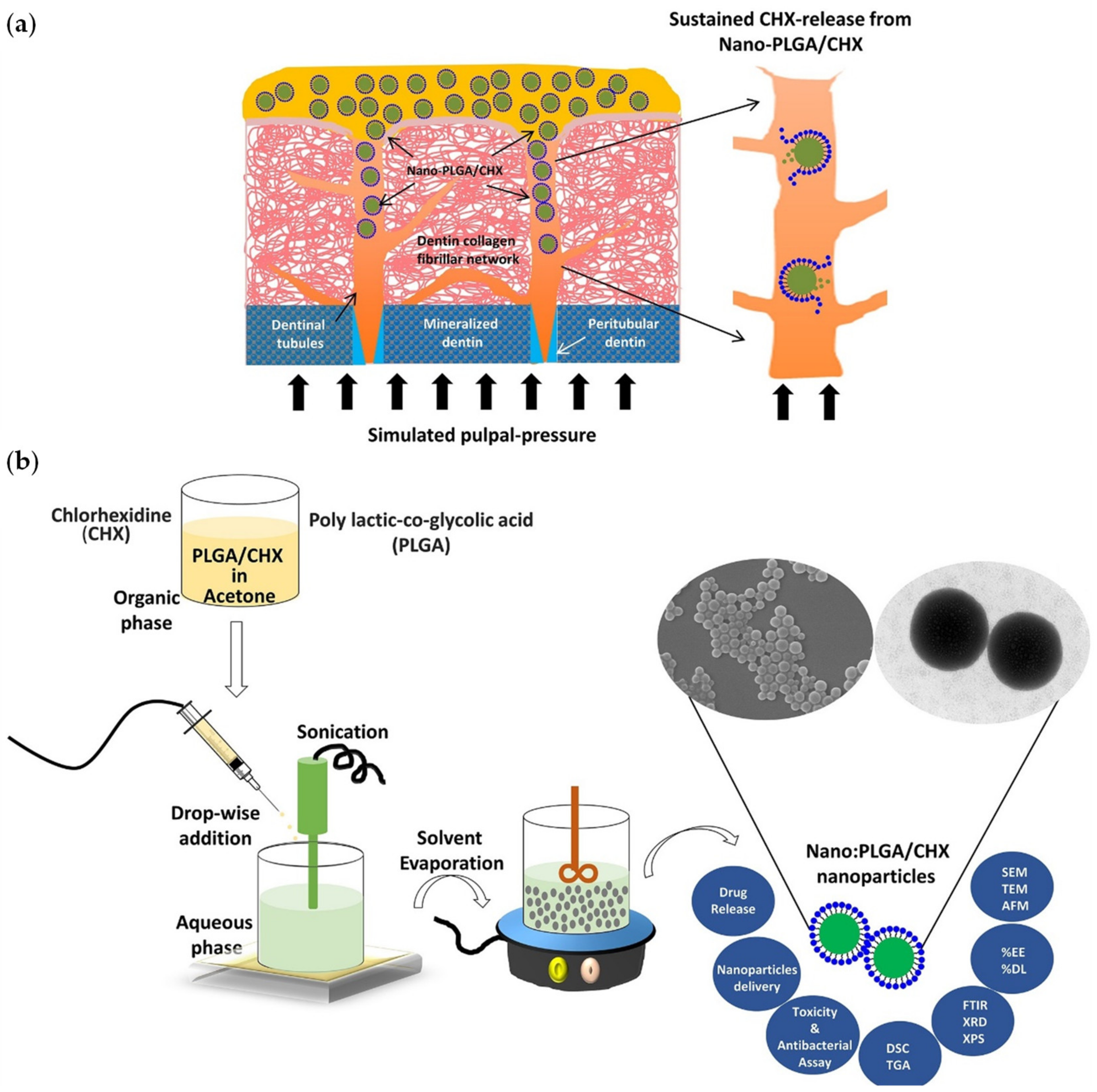 Molecules 26 02229 g003 Molecules 26 02229 g003