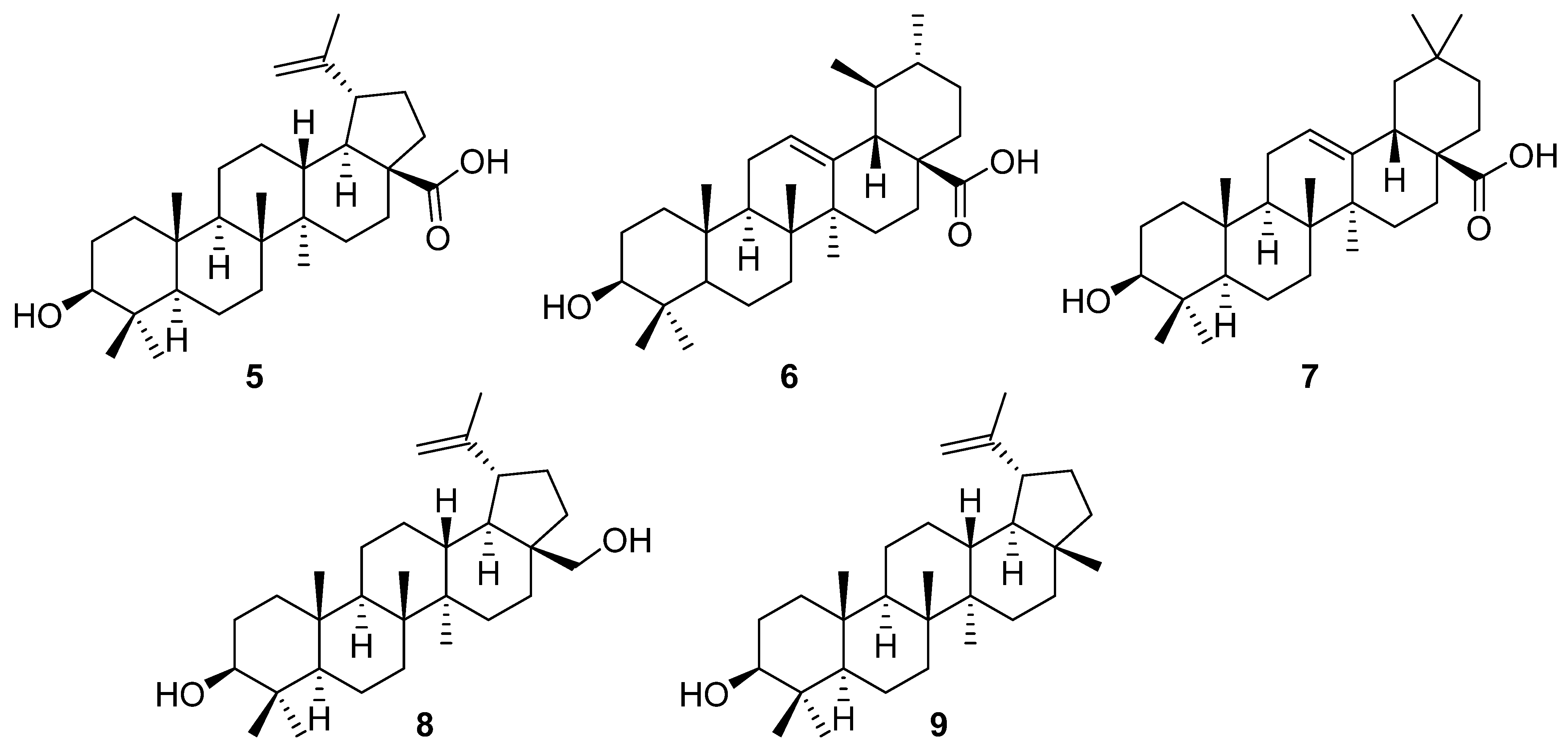 Molecules 26 02271 g002 Molecules 26 02271 g002