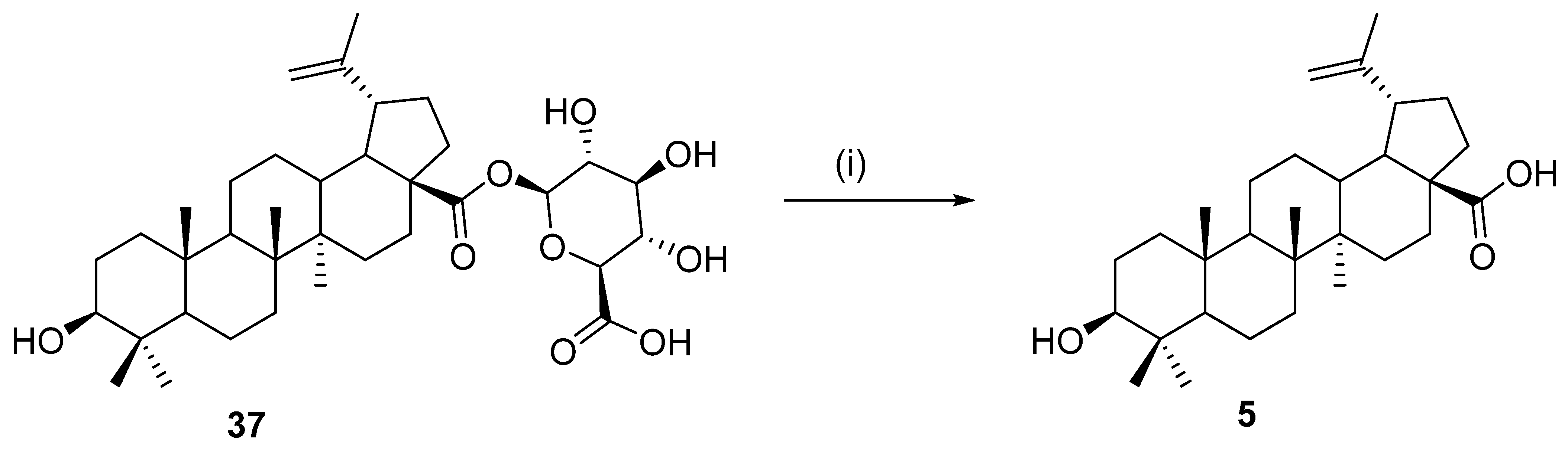 Molecules Free Full Text Biocatalysis In The Chemistry Of Lupane Triterpenoids Html