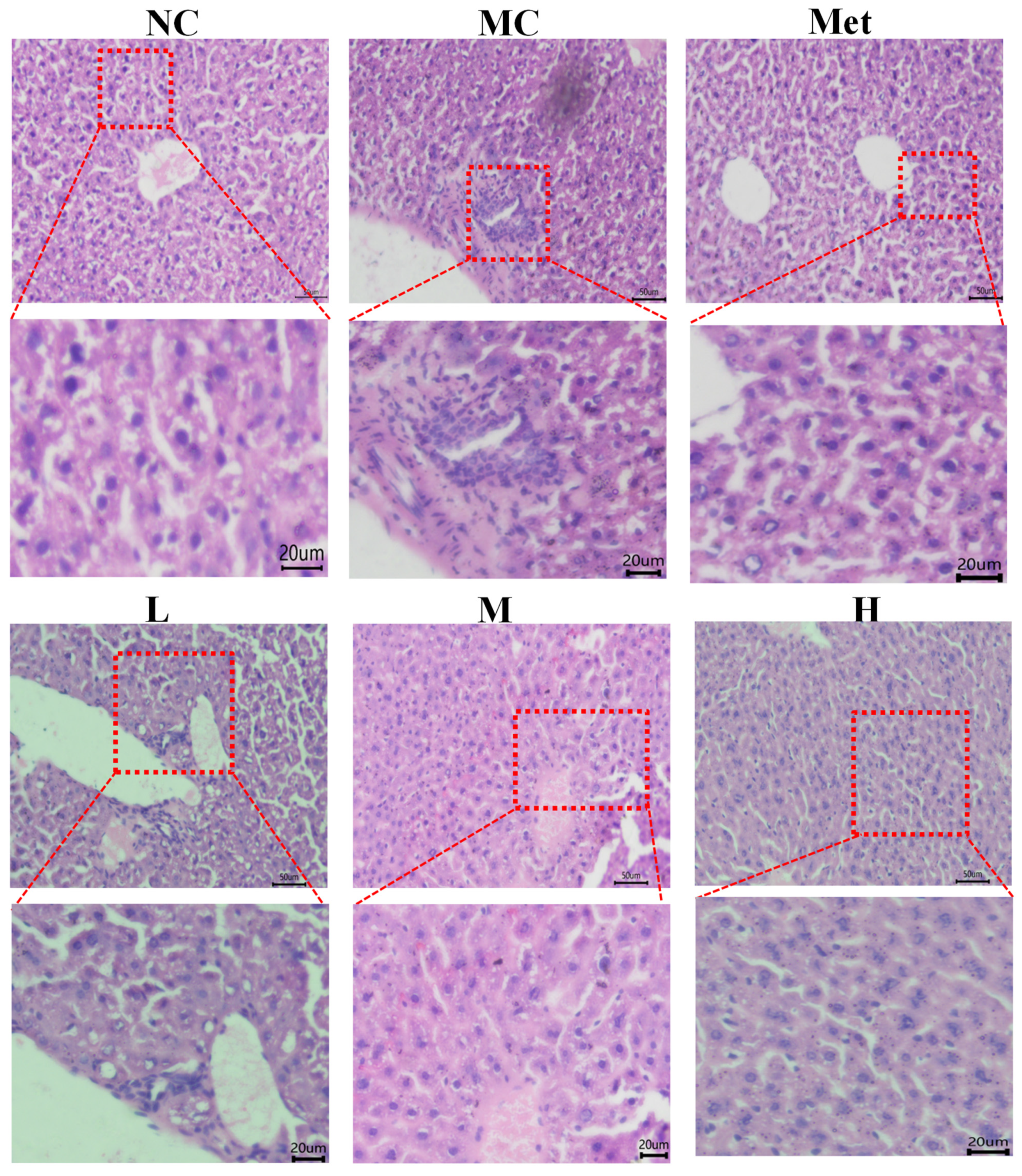 Molecules 26 02285 g009