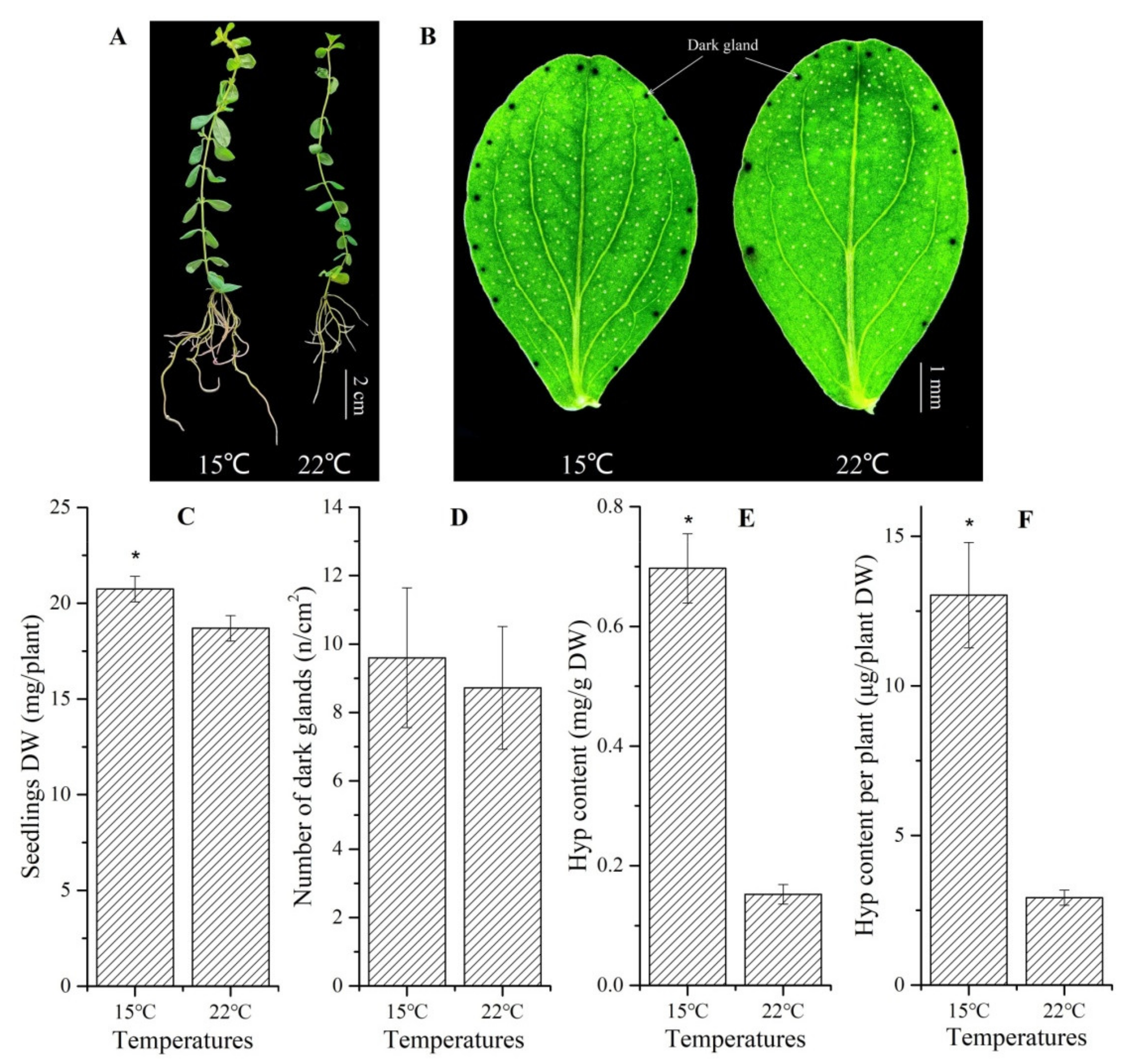 Molecules 26 02294 g002 Molecules 26 02294 g002