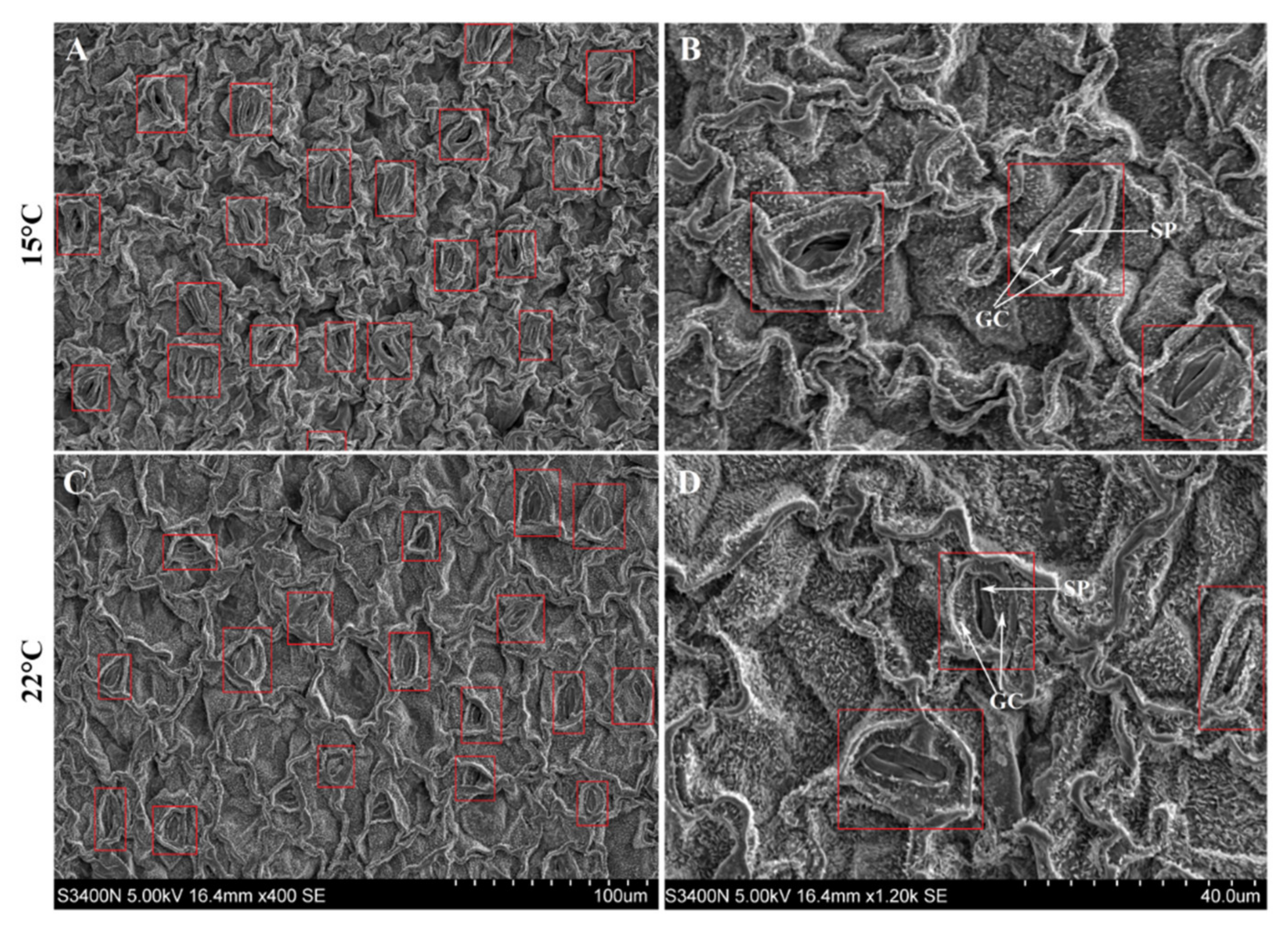 Molecules 26 02294 g003 Molecules 26 02294 g003