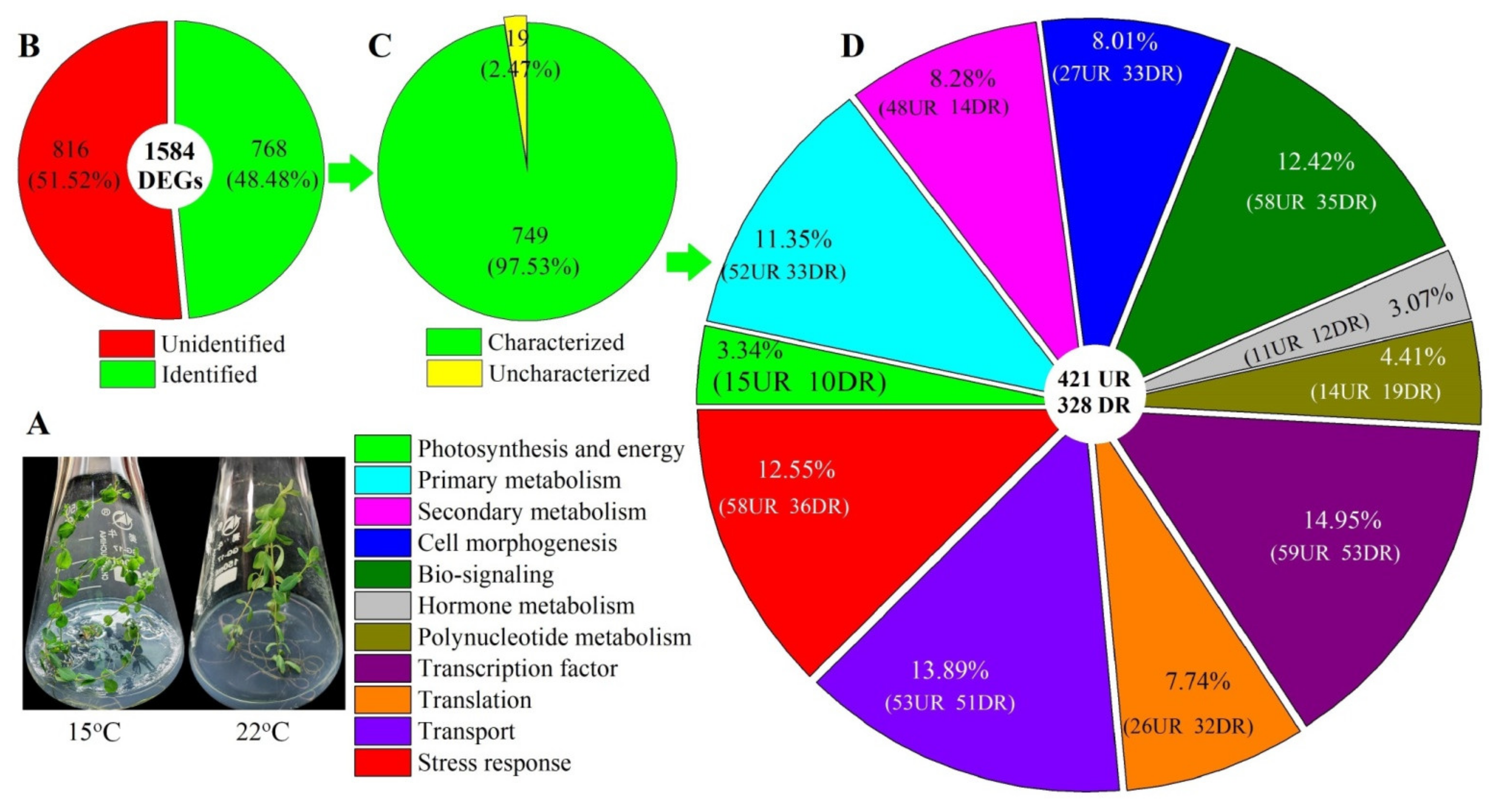 Molecules 26 02294 g004 Molecules 26 02294 g004