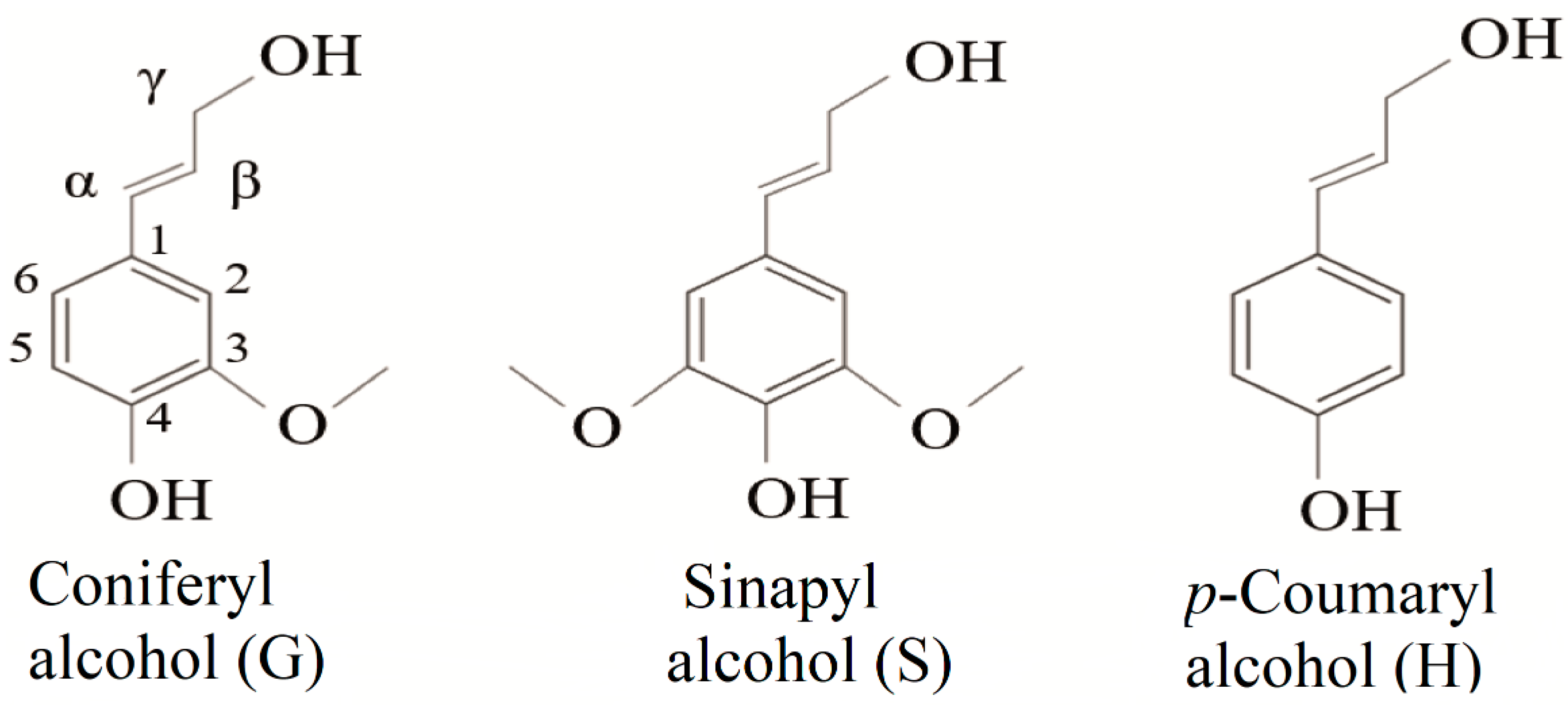 Molecules 26 02299 g001