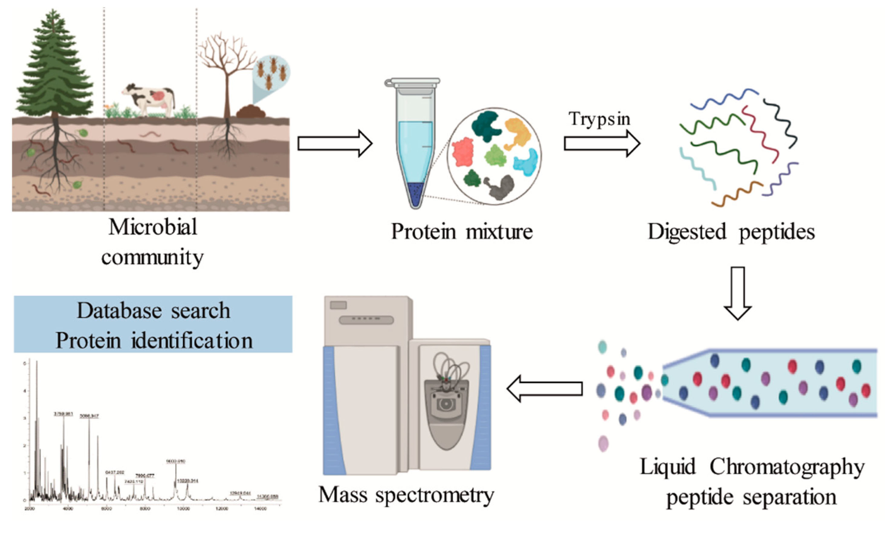 Molecules 26 02299 g006
