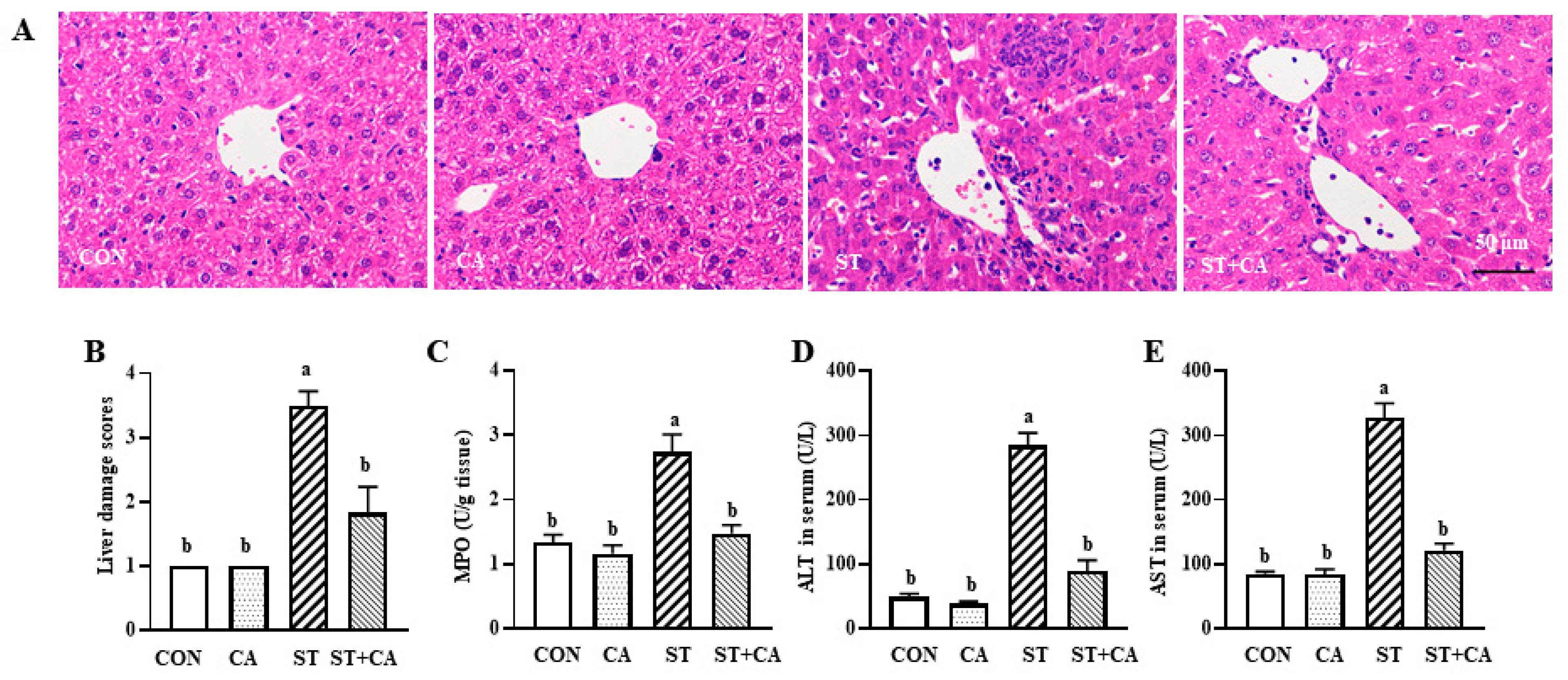 Molecules 26 02309 g002 Molecules 26 02309 g002