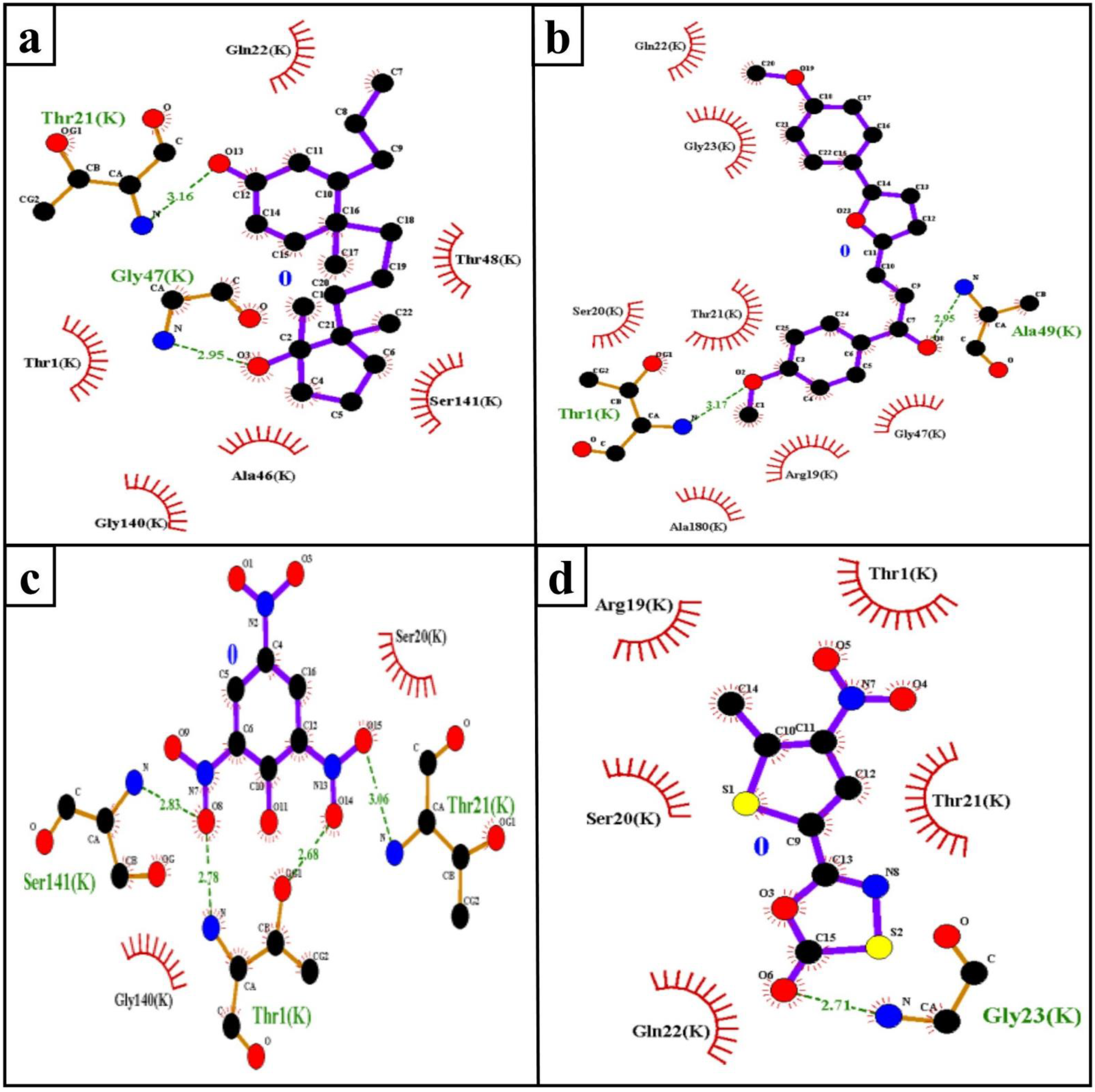 Molecules 26 02326 g004 Molecules 26 02326 g004