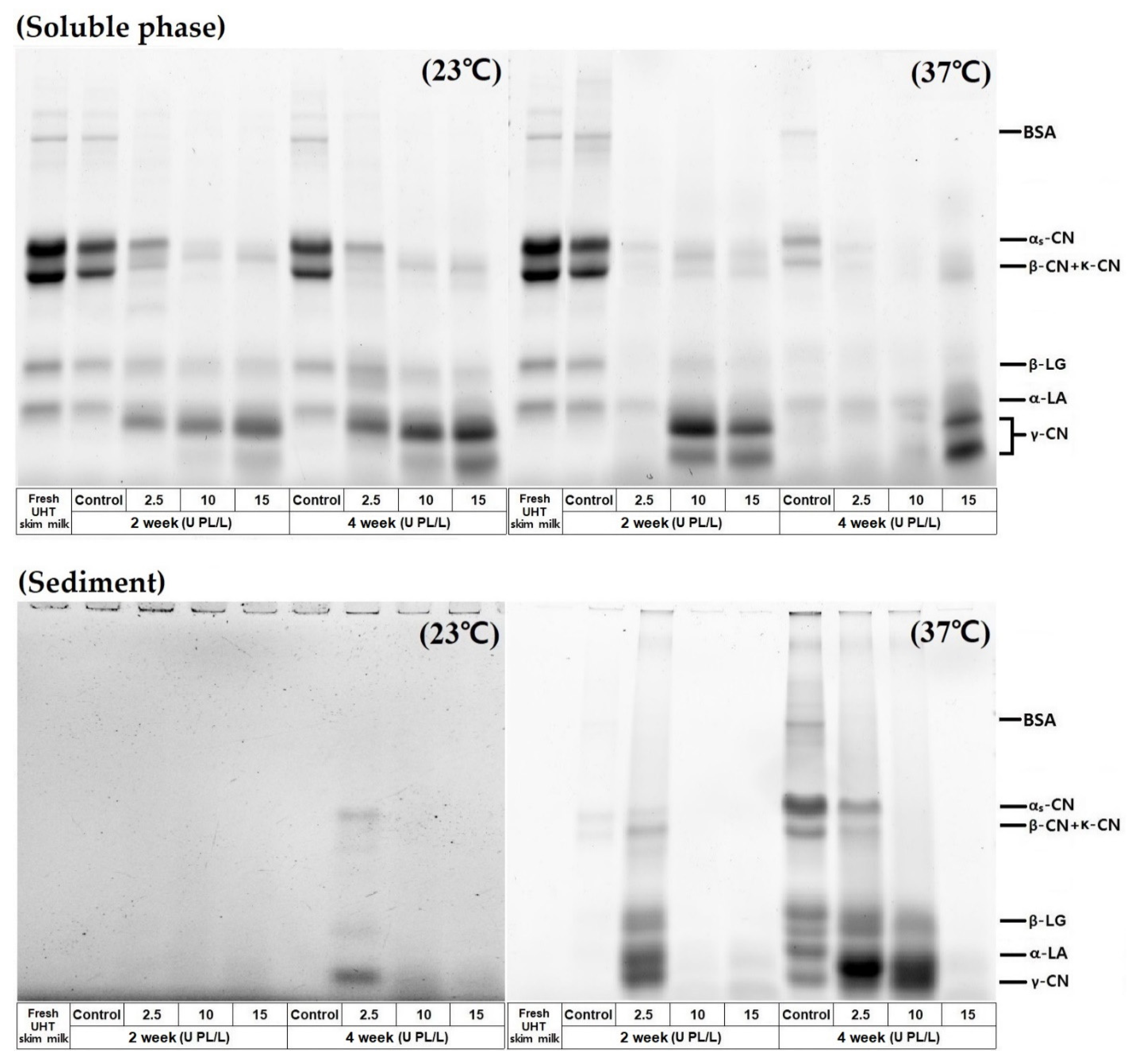 Molecules Free Full Text Changes In Particle Size Sedimentation And Protein Microstructure Of Ultra High Temperature Skim Milk Considering Plasmin Concentration And Storage Temperature Html