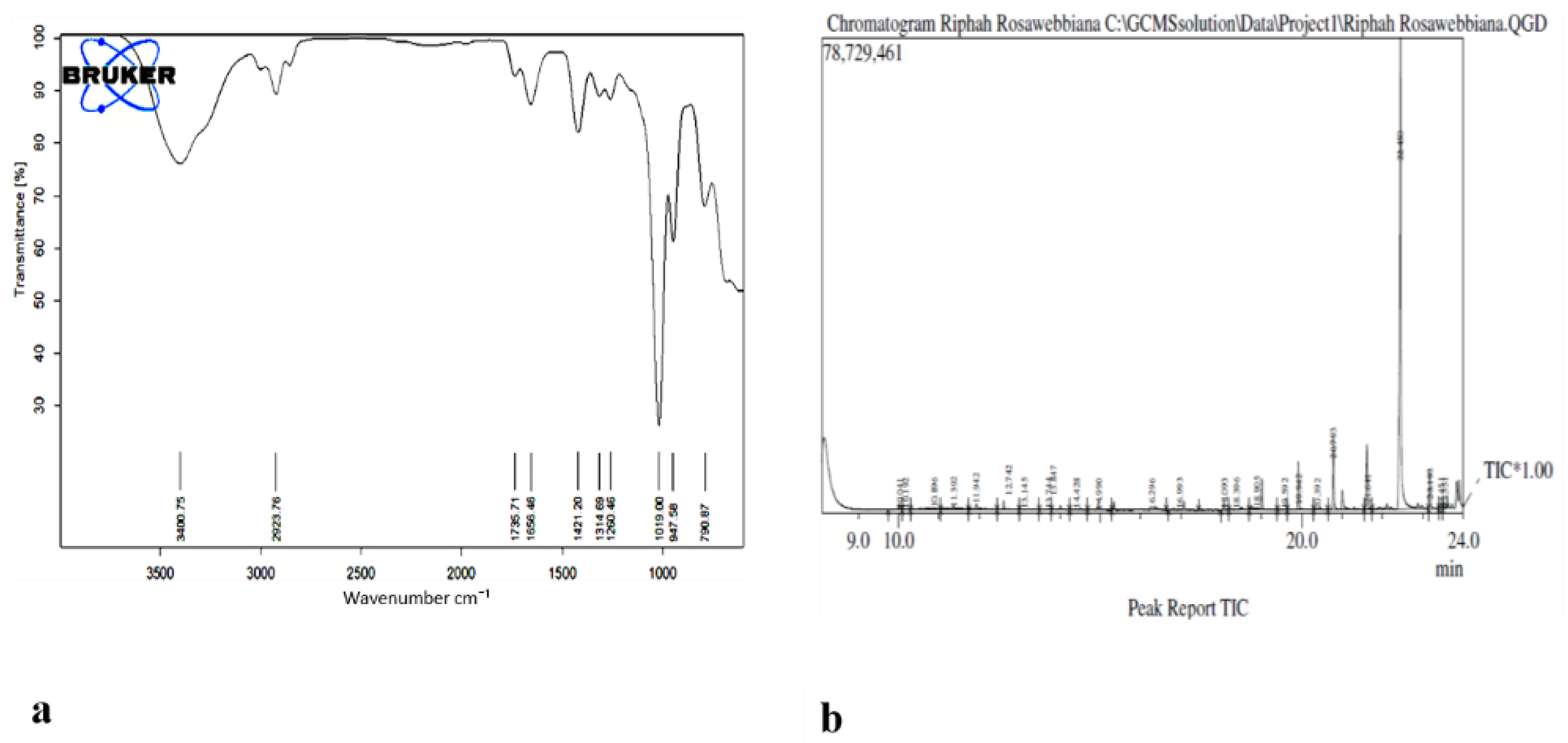 Molecules 26 02347 g005 Molecules 26 02347 g005