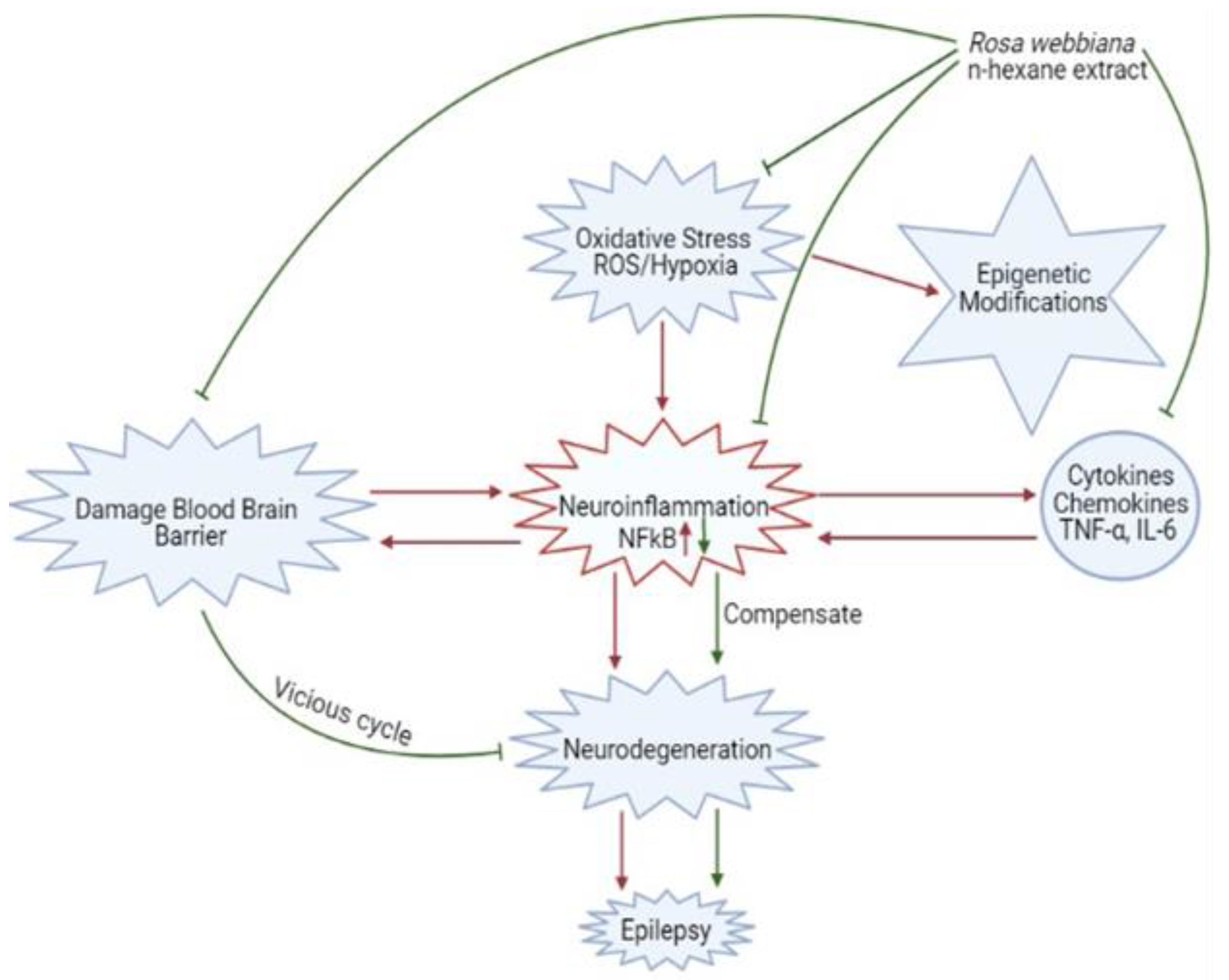 Molecules 26 02347 g010 Molecules 26 02347 g010
