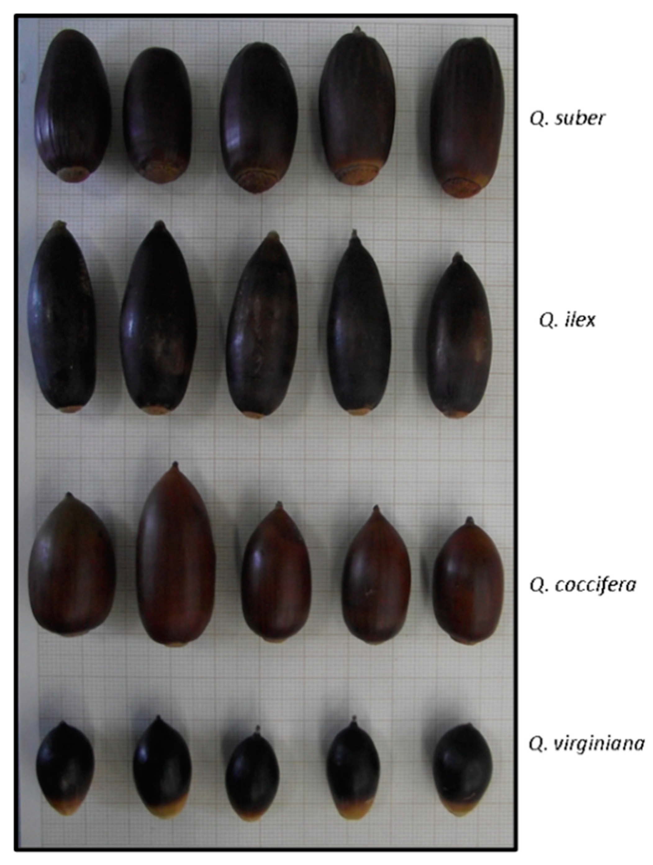 Molecules 26 02351 g004