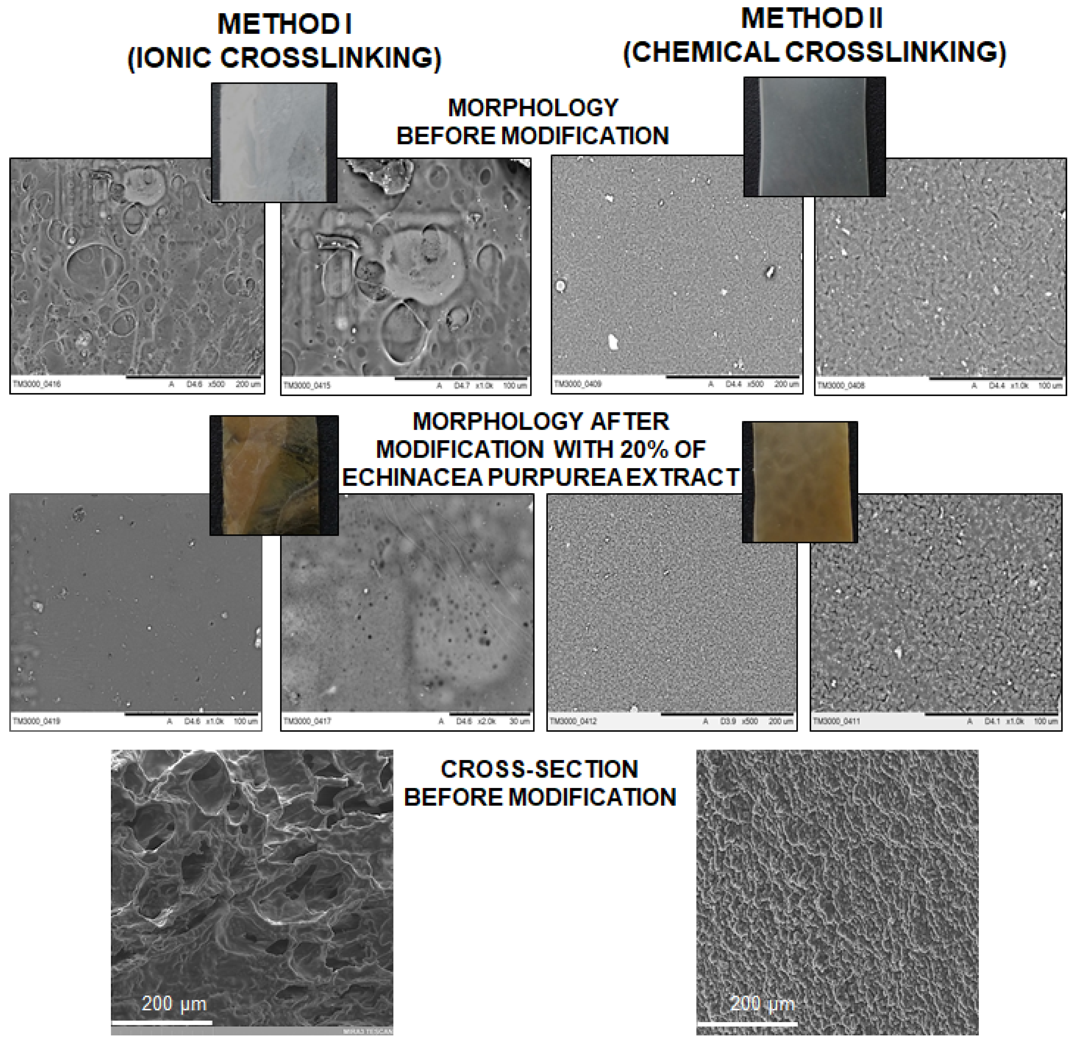 Molecules 26 02381 g007