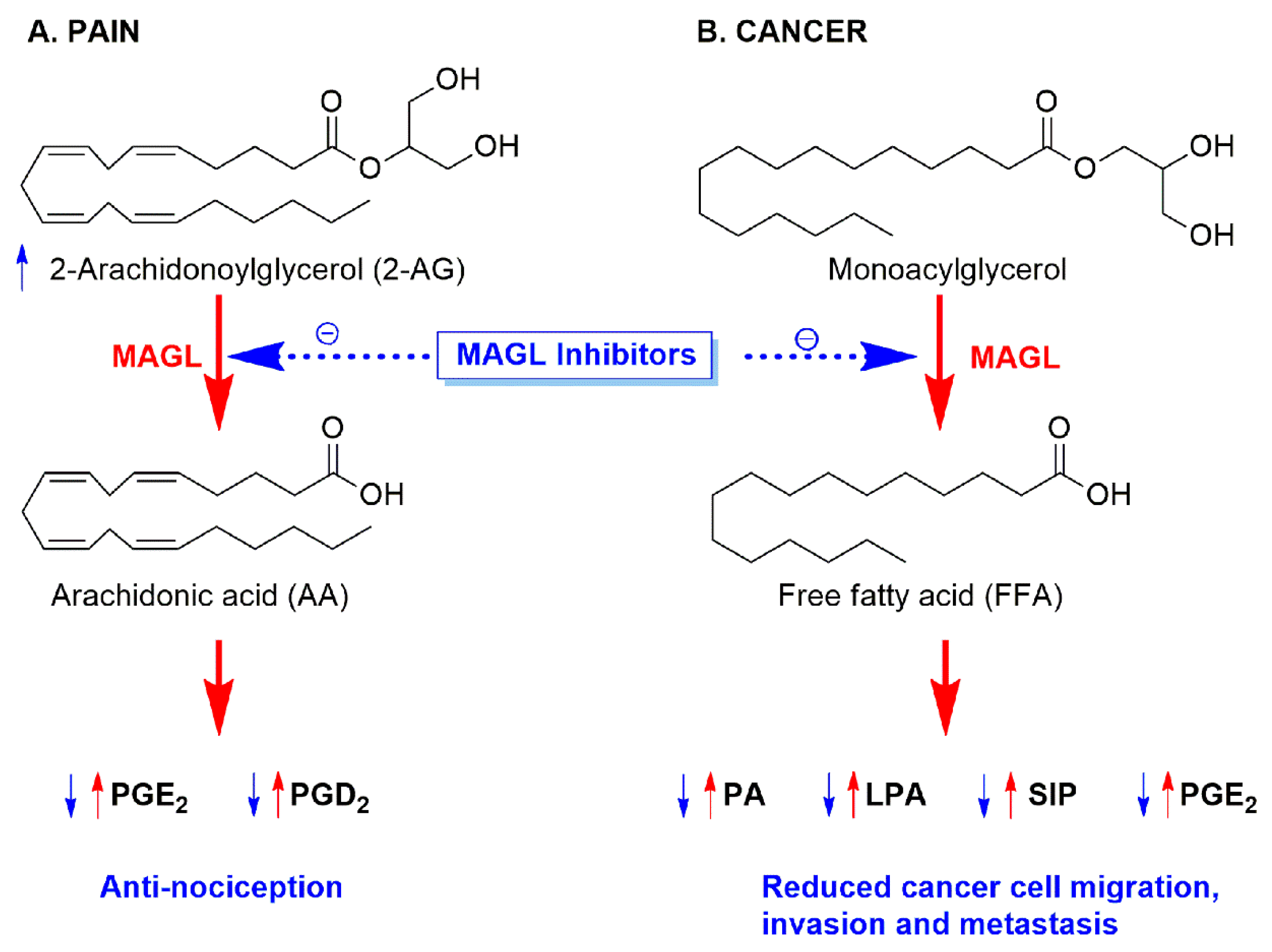 Molecules 26 02389 g001 Molecules 26 02389 g001