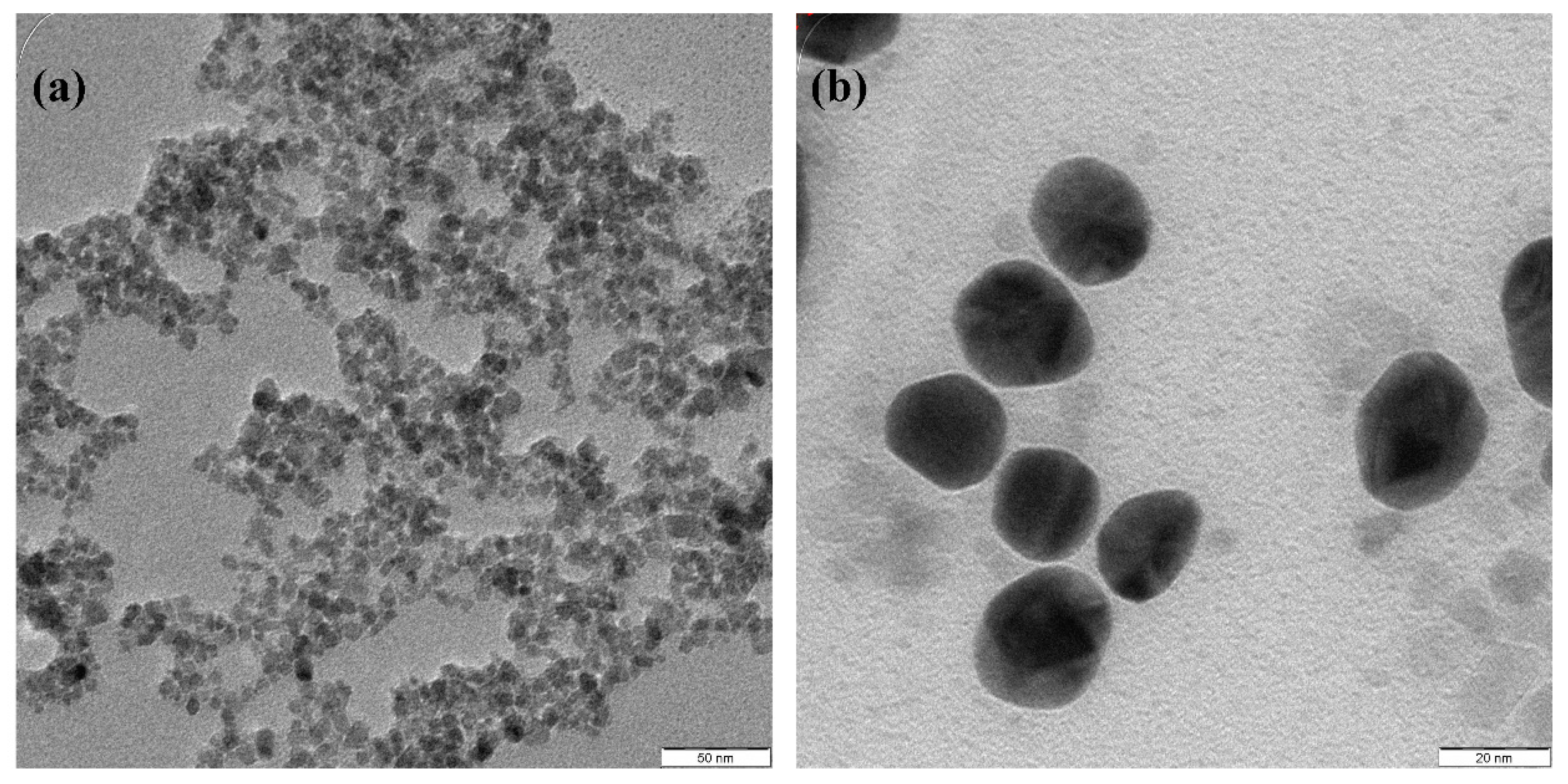 Molecules 26 02453 g006