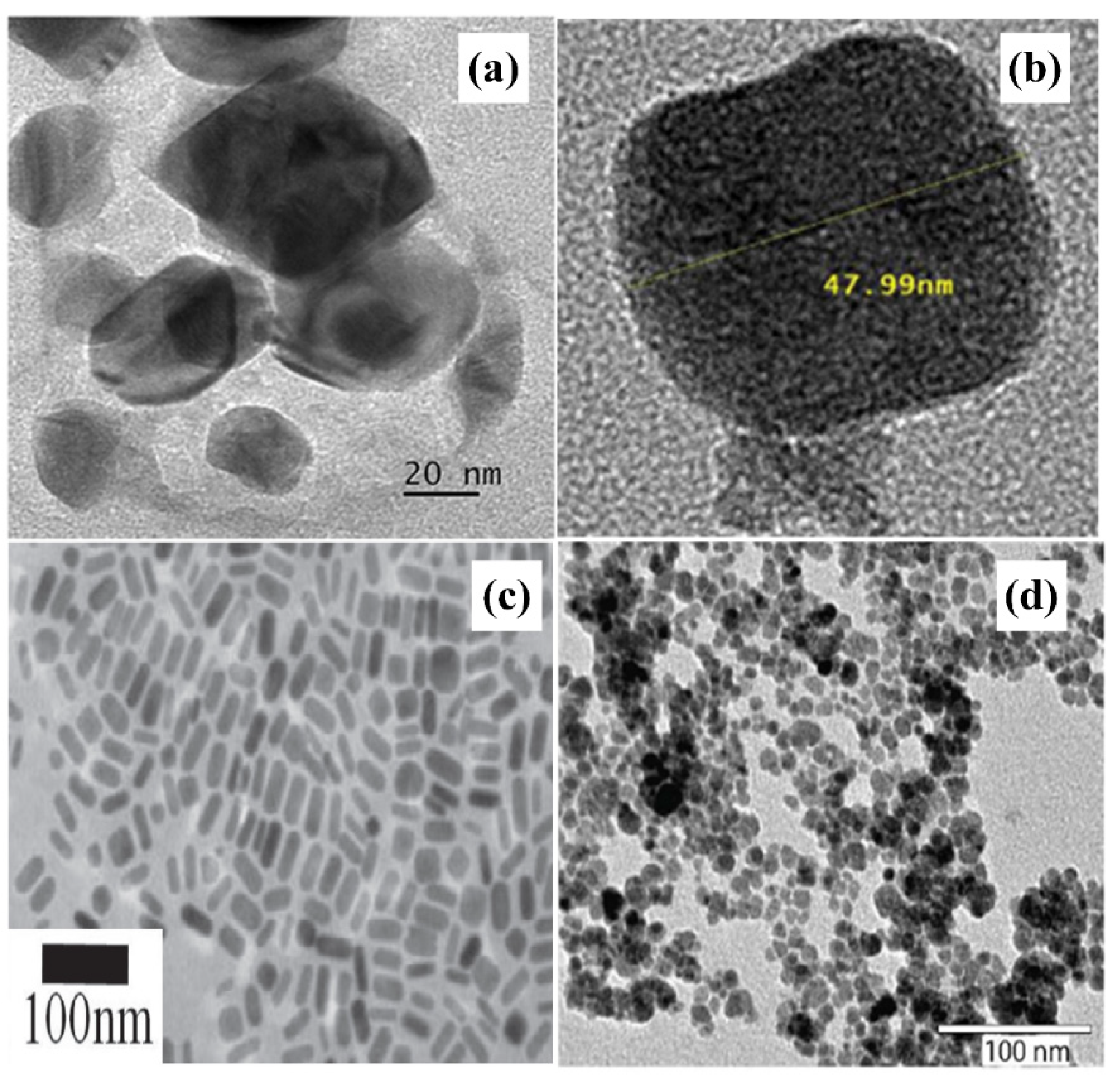 Molecules 26 02453 g008