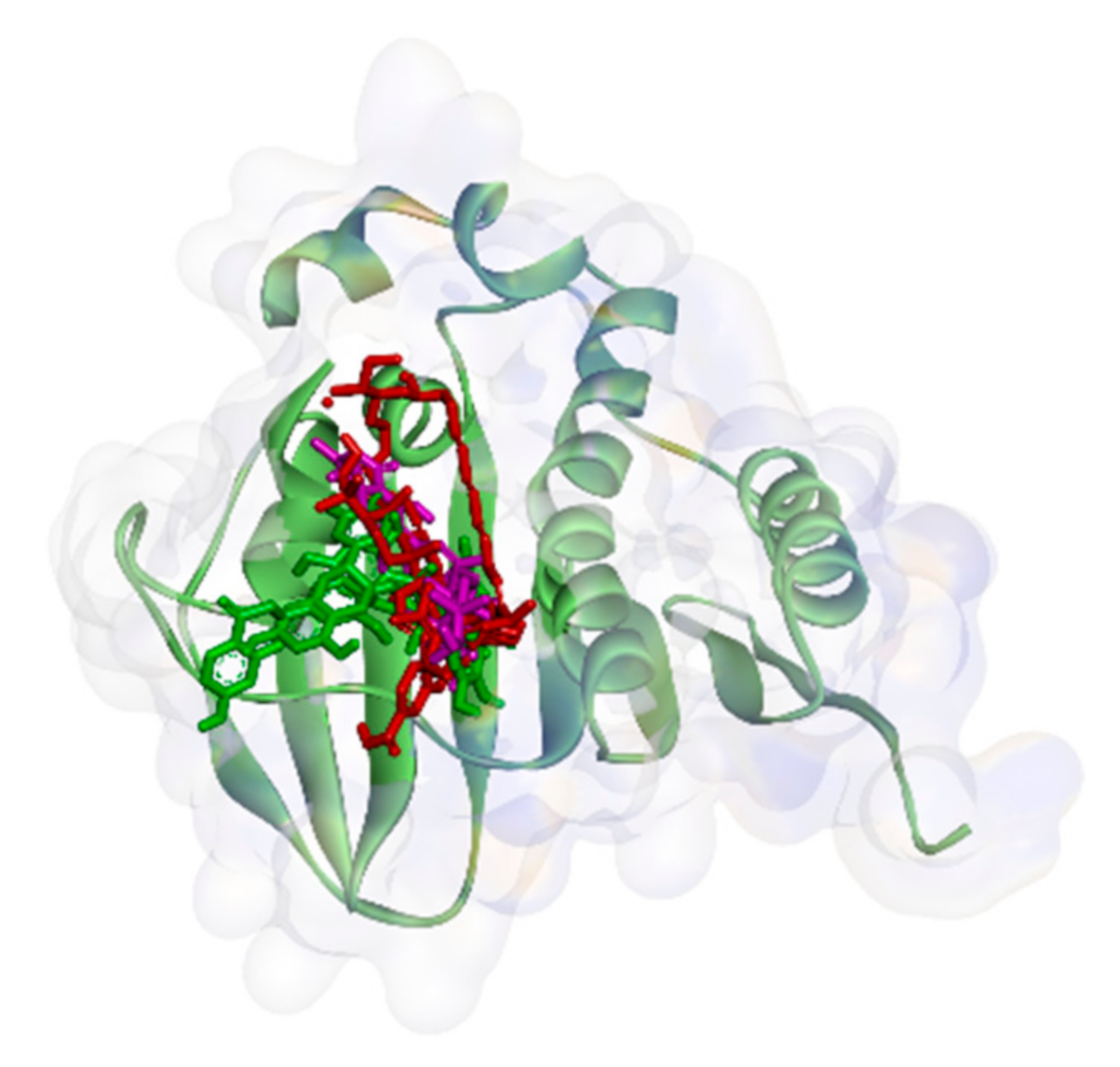 Molecules 26 02465 g003 Molecules 26 02465 g003