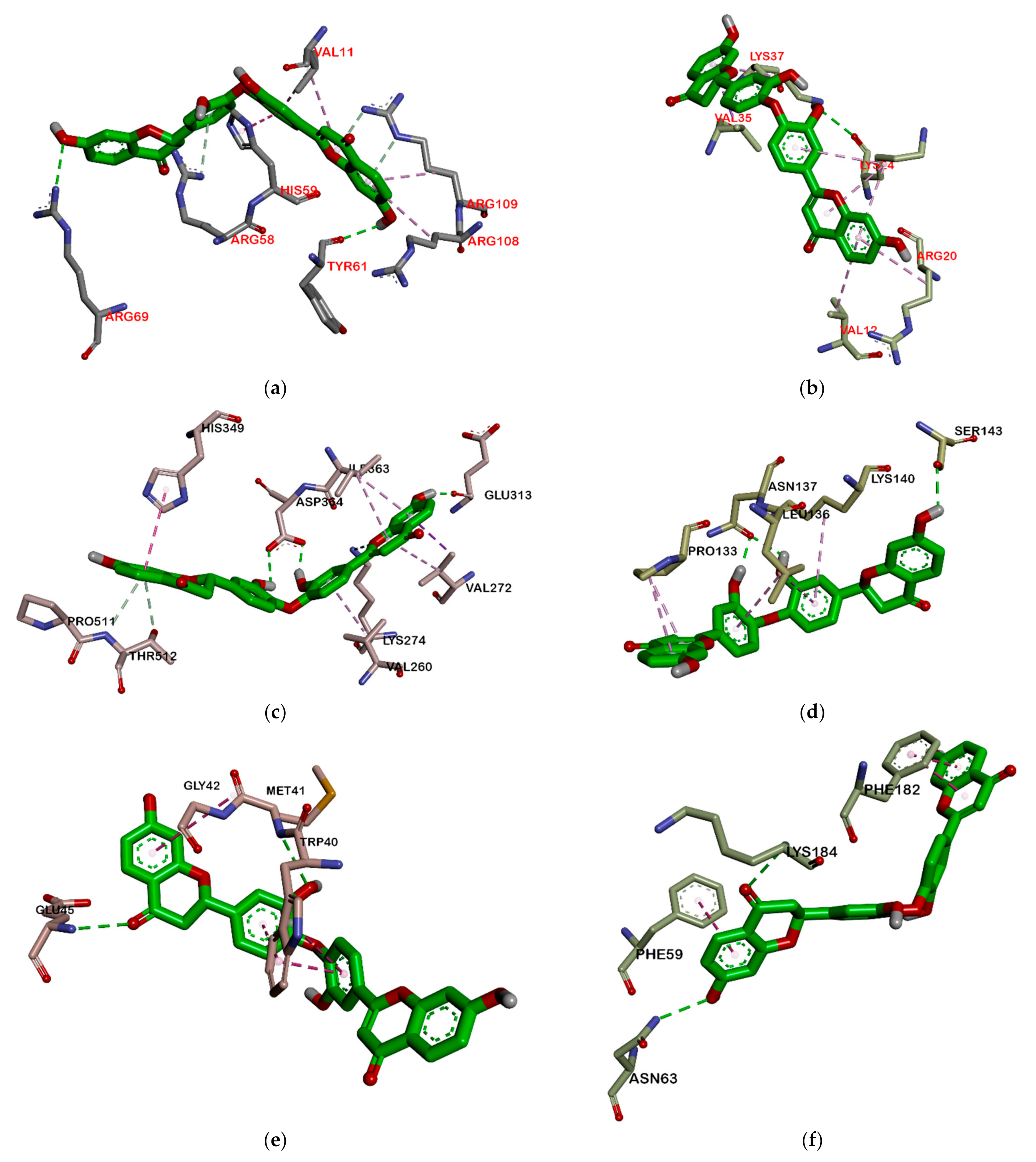 Molecules 26 02465 g008 Molecules 26 02465 g008