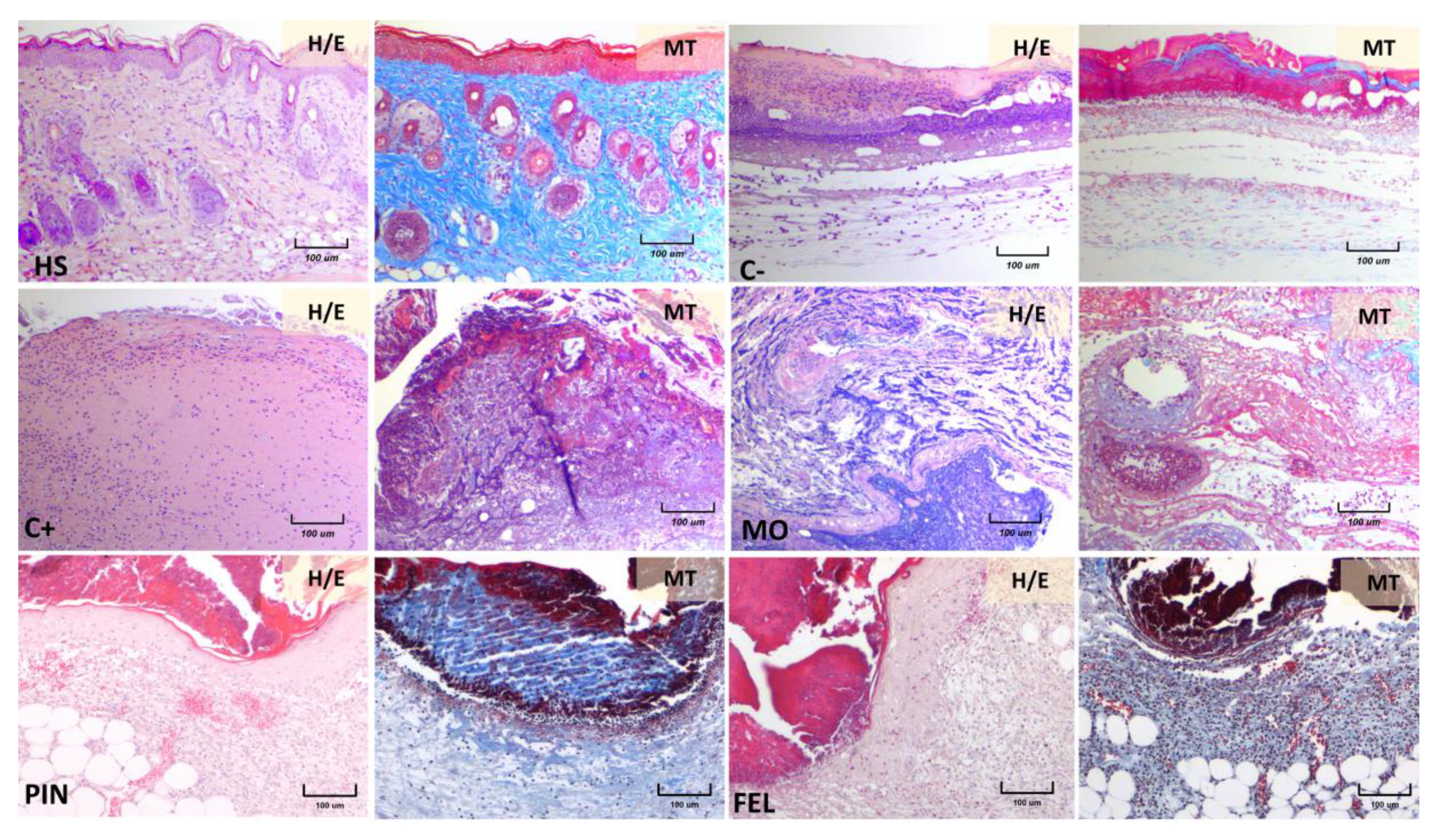 Molecules 26 02488 g009