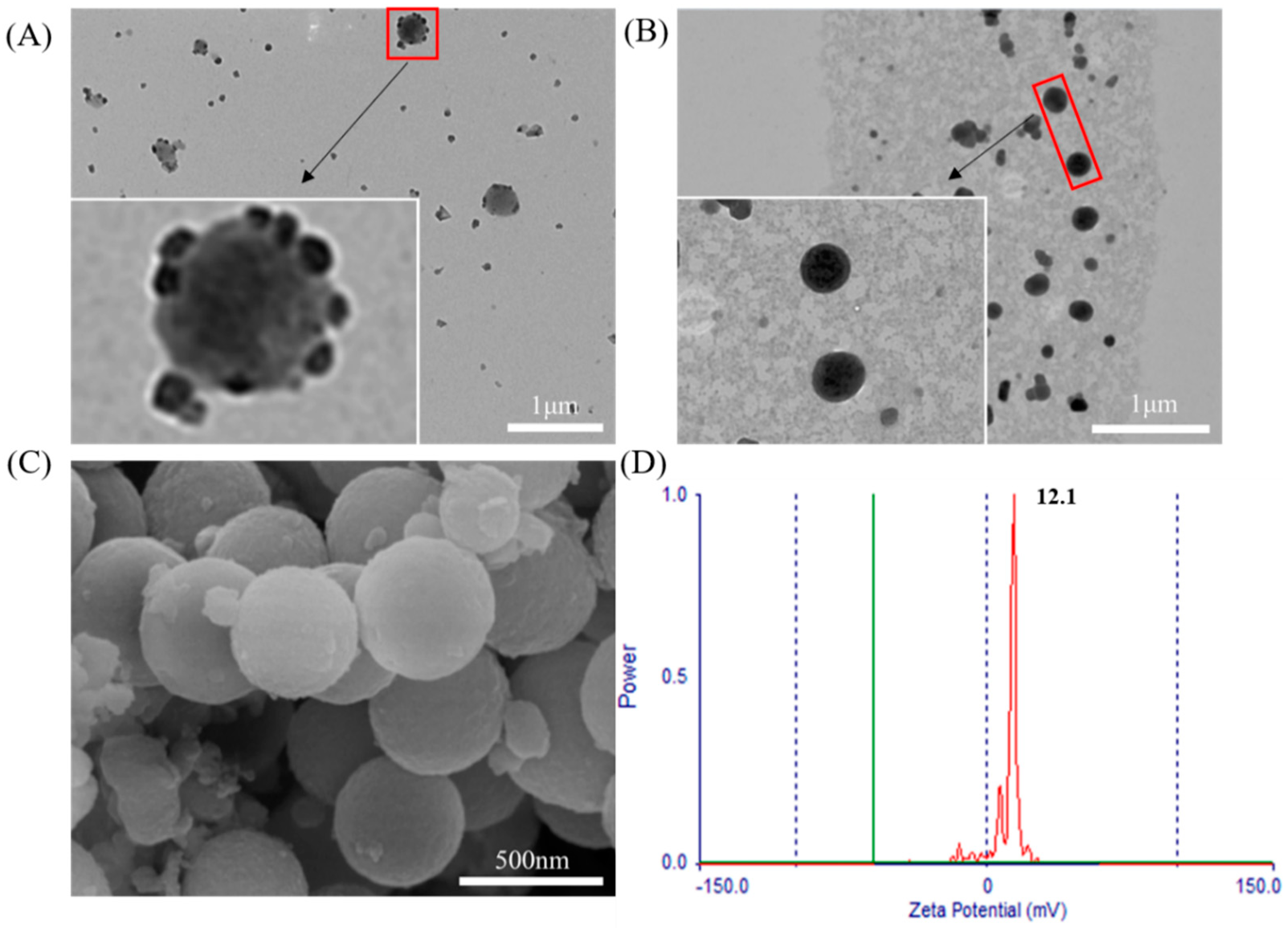 Molecules 26 02490 g004 Molecules 26 02490 g004