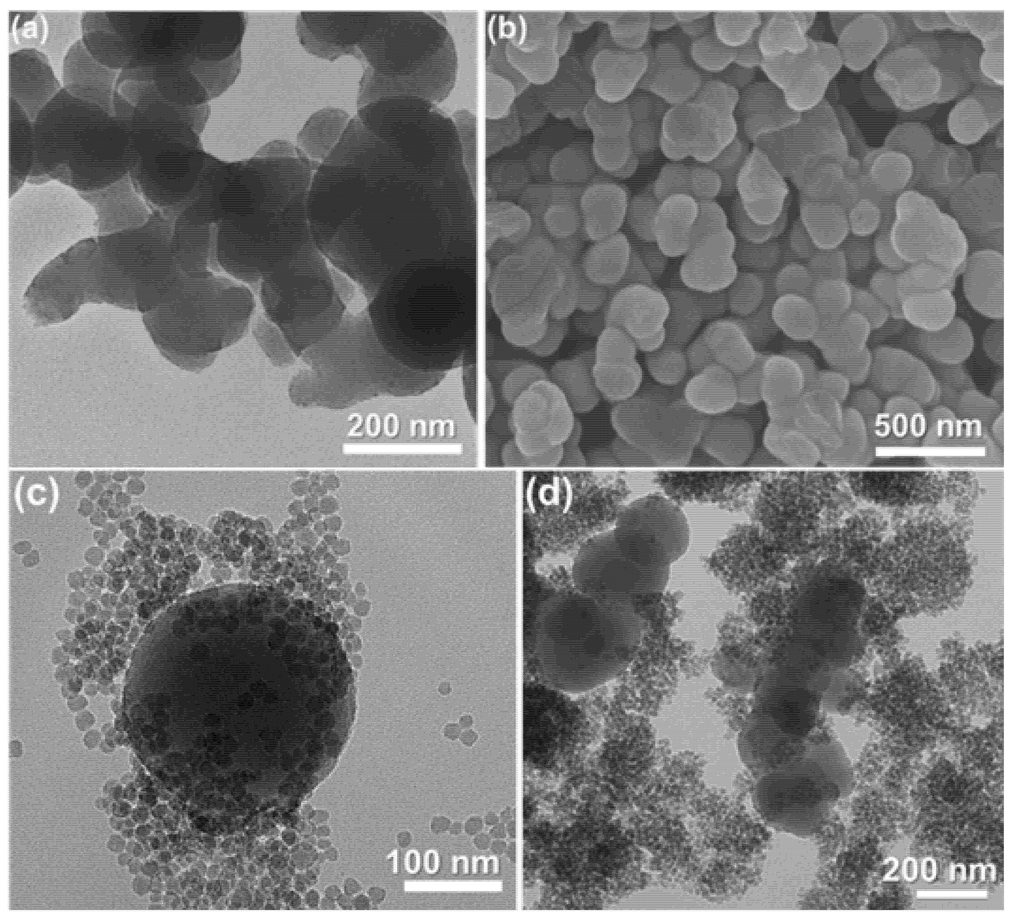 Molecules 26 02519 g002 Molecules 26 02519 g002