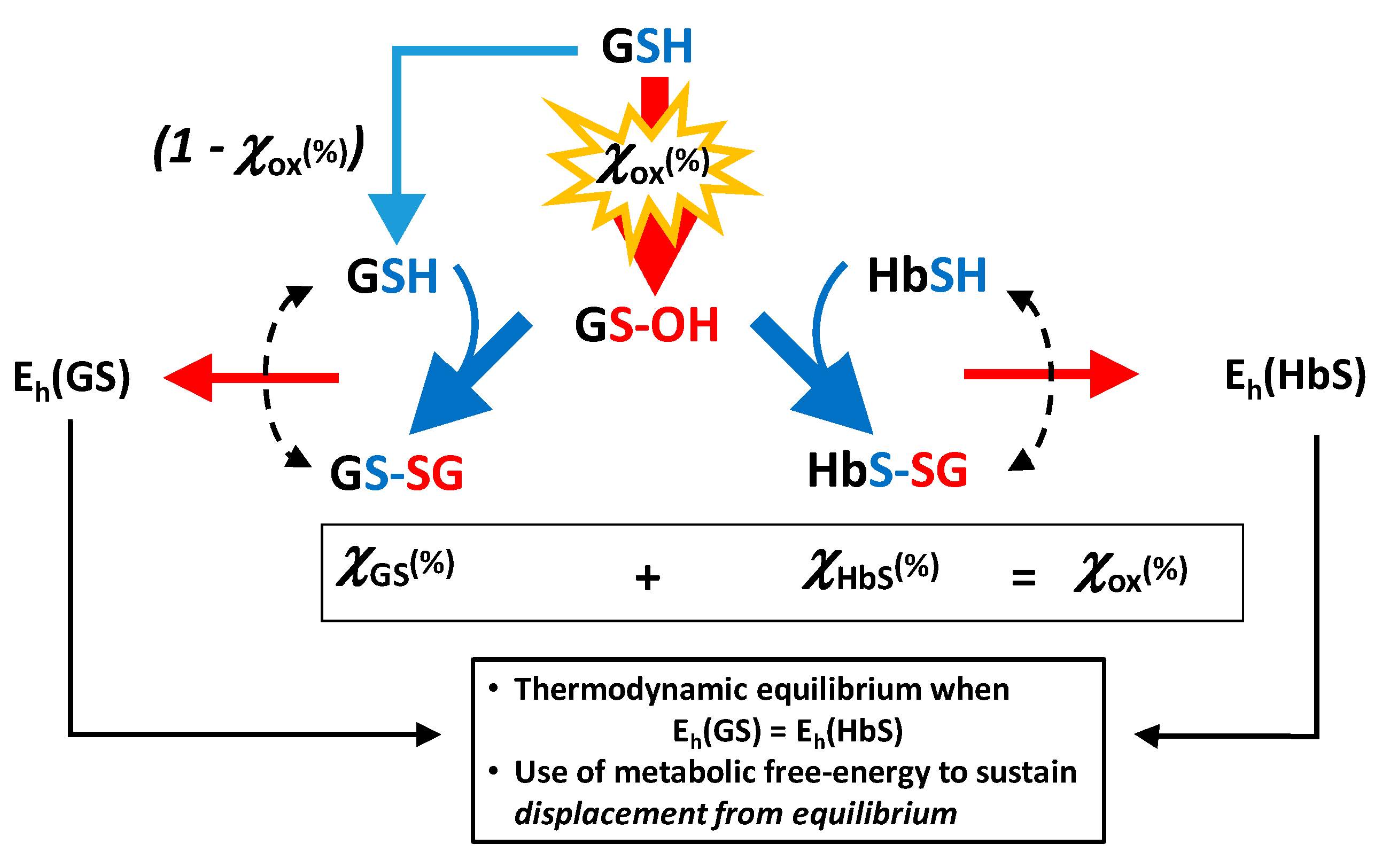 Molecules 26 02528 g006 Molecules 26 02528 g006