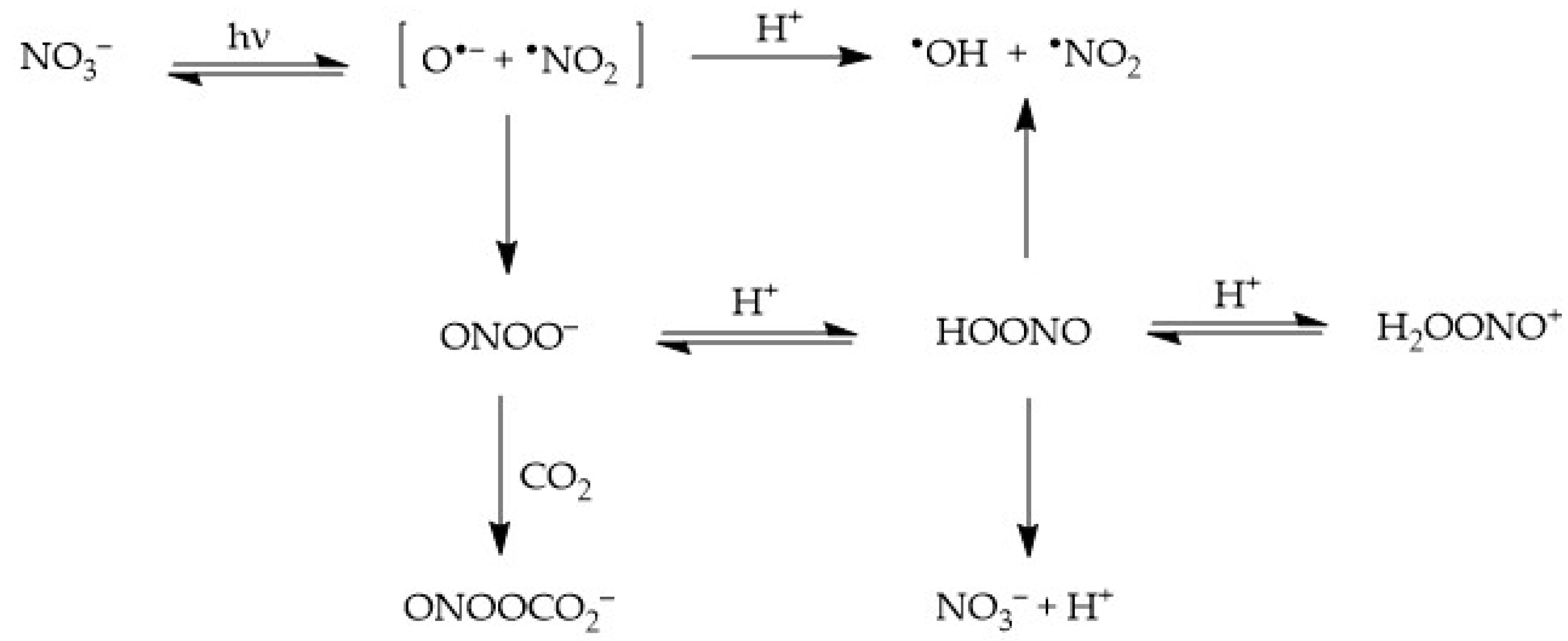 Molecules 26 02550 sch001