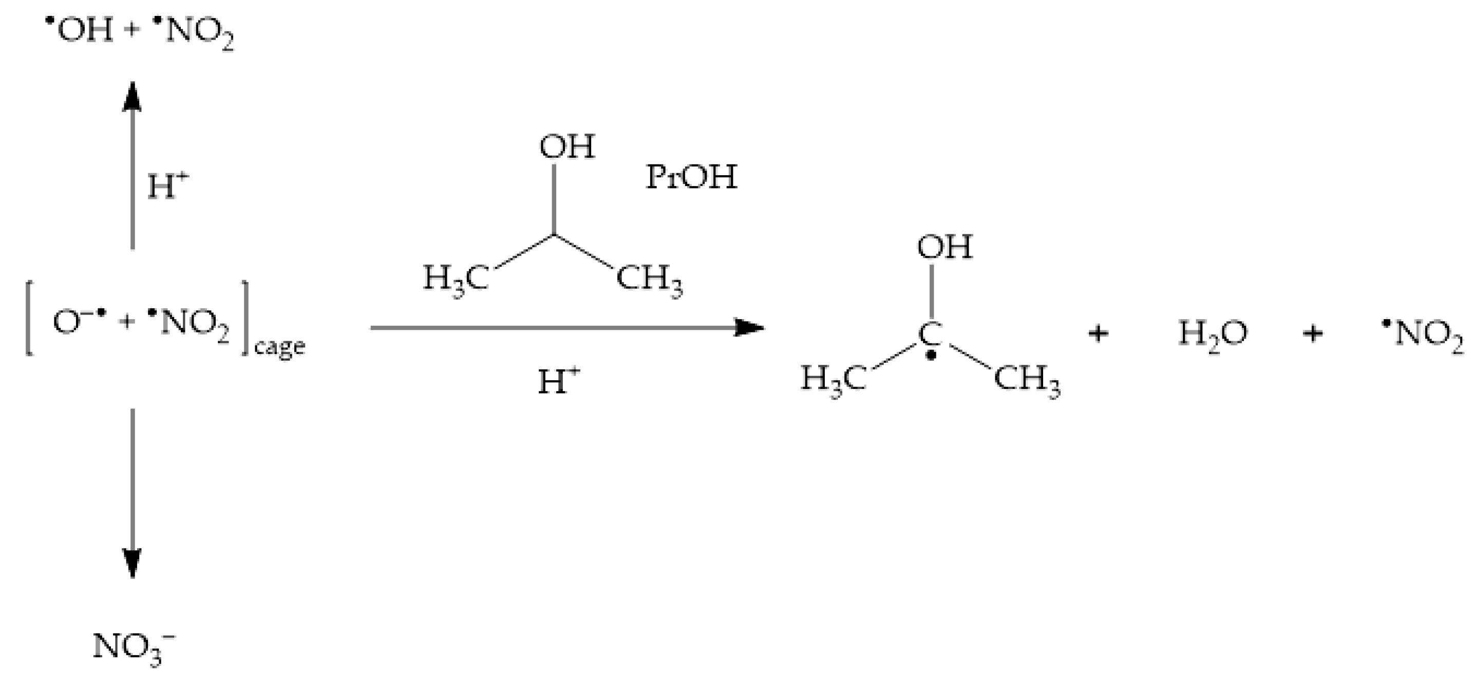 Molecules 26 02550 sch005