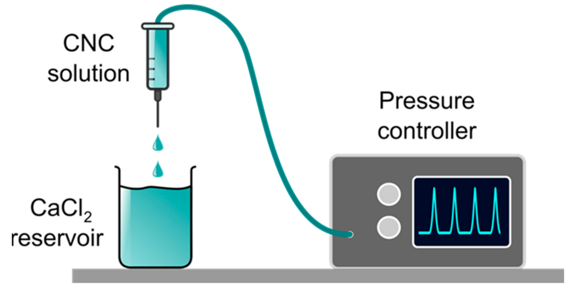 Molecules 26 02552 g002