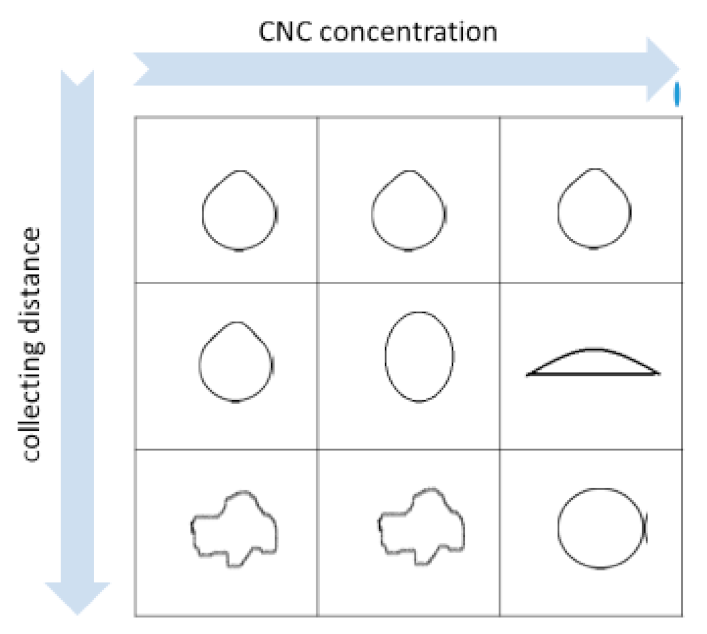 Molecules 26 02552 g003