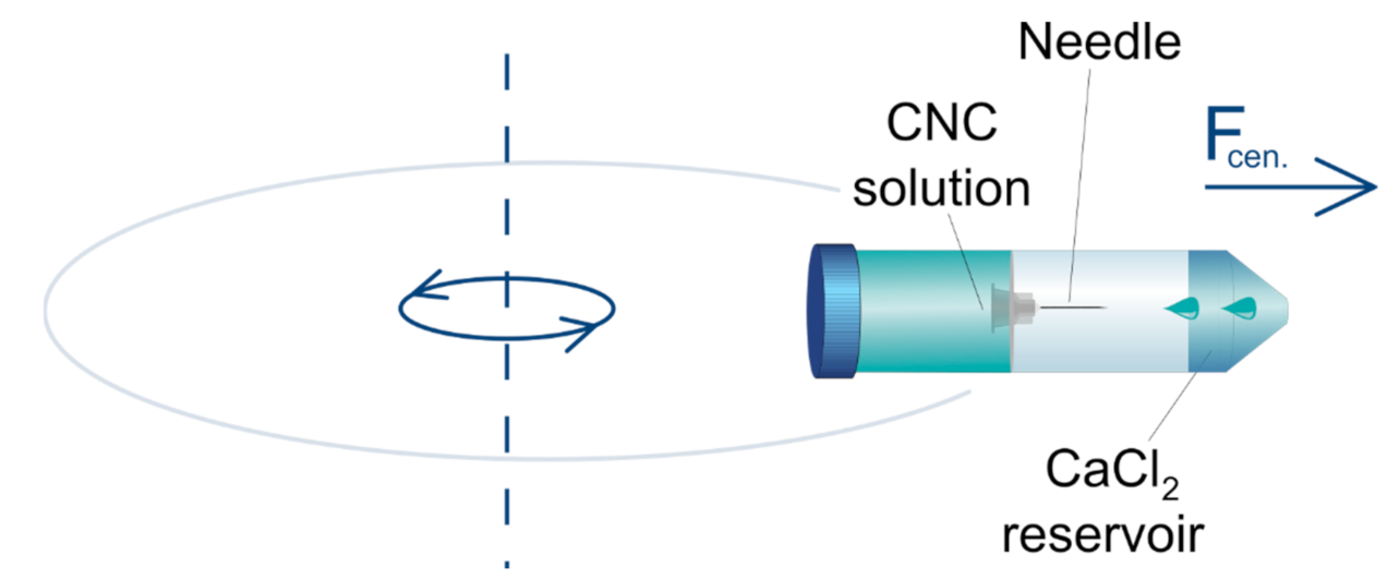 Molecules 26 02552 g004