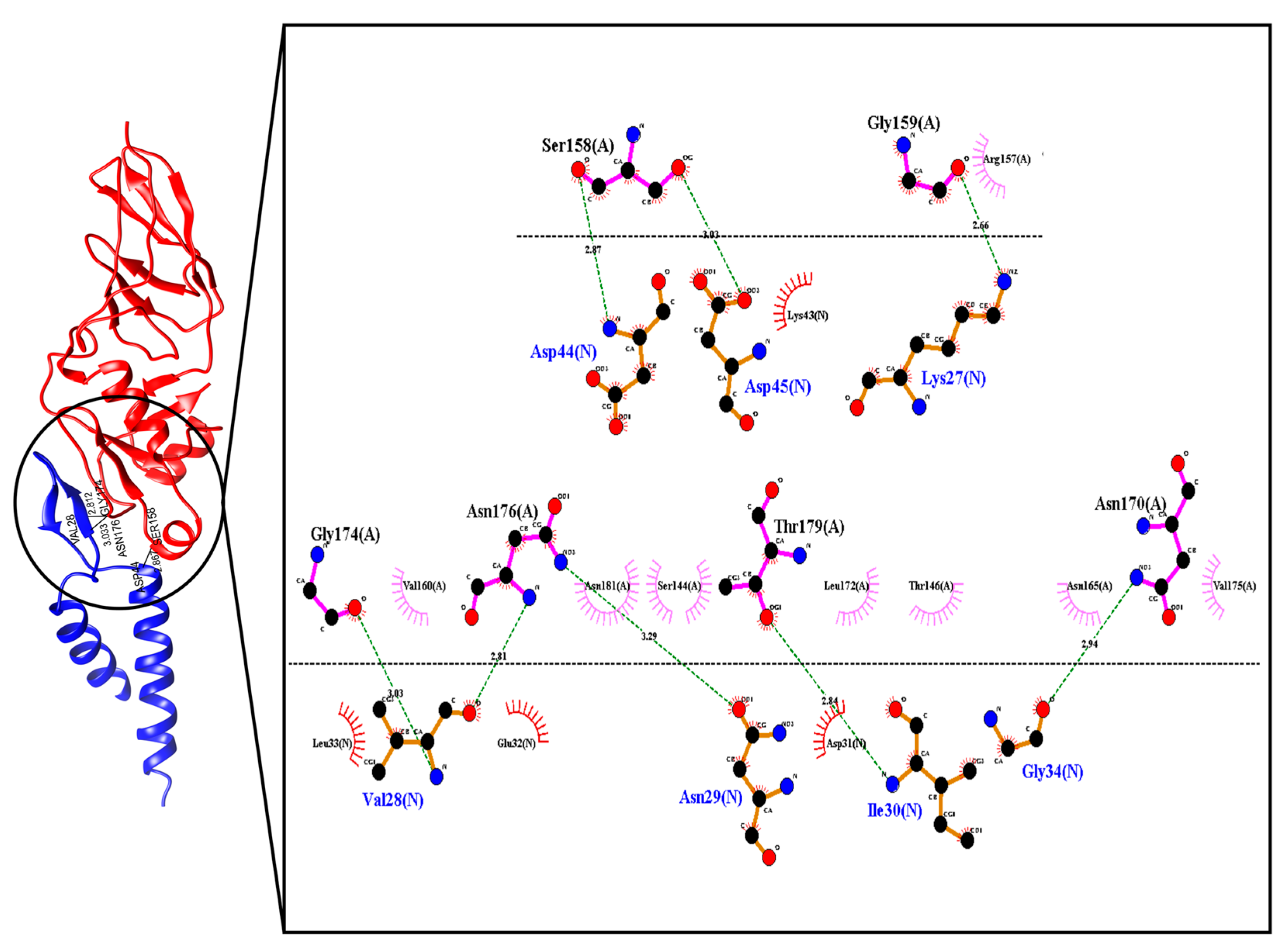 Molecules 26 02559 g001 Molecules 26 02559 g001