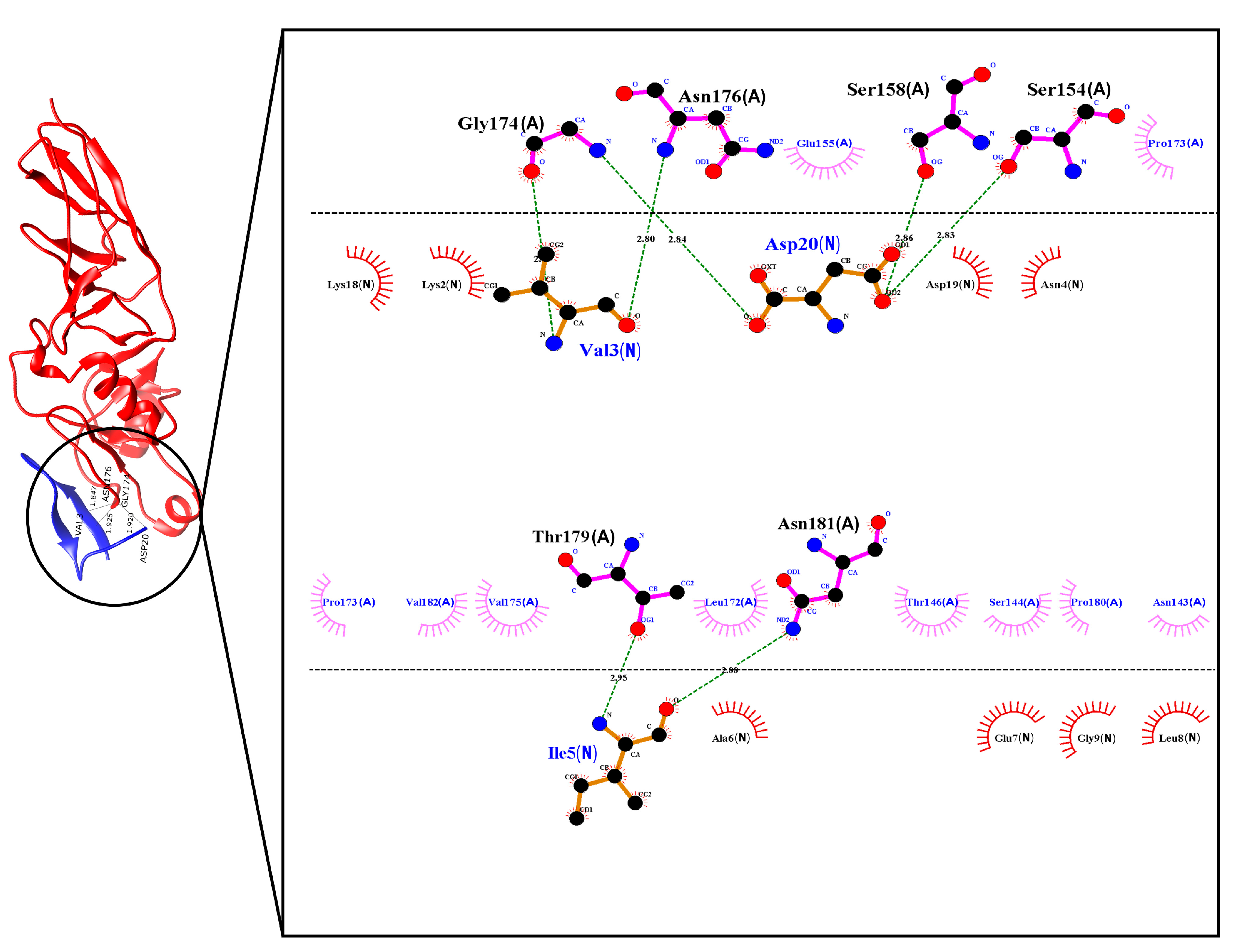 Molecules 26 02559 g003 Molecules 26 02559 g003
